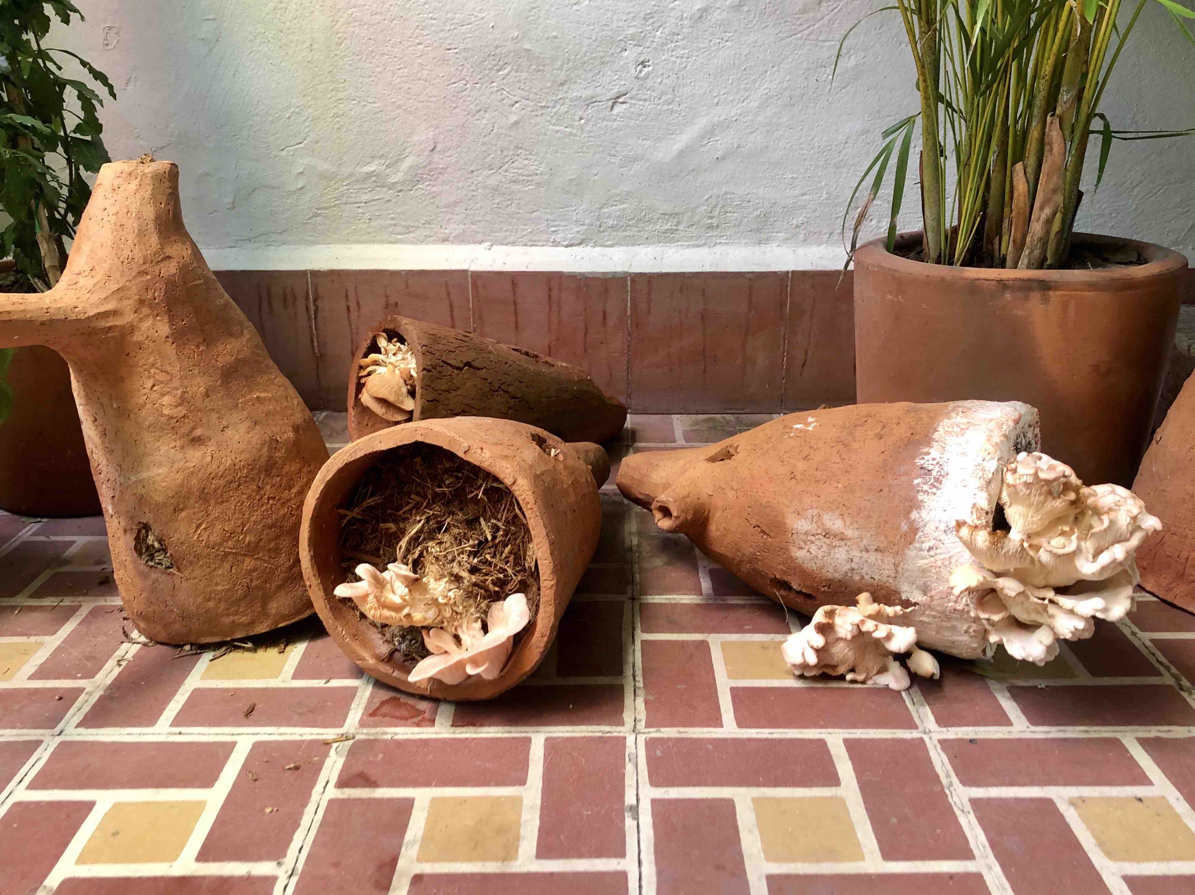 Paola de Anda. "Eventos fungi II (tejas)", 2018-2019. Presencia Lúcida, ESPAC, 2019. Foto: Sandra Sánchez