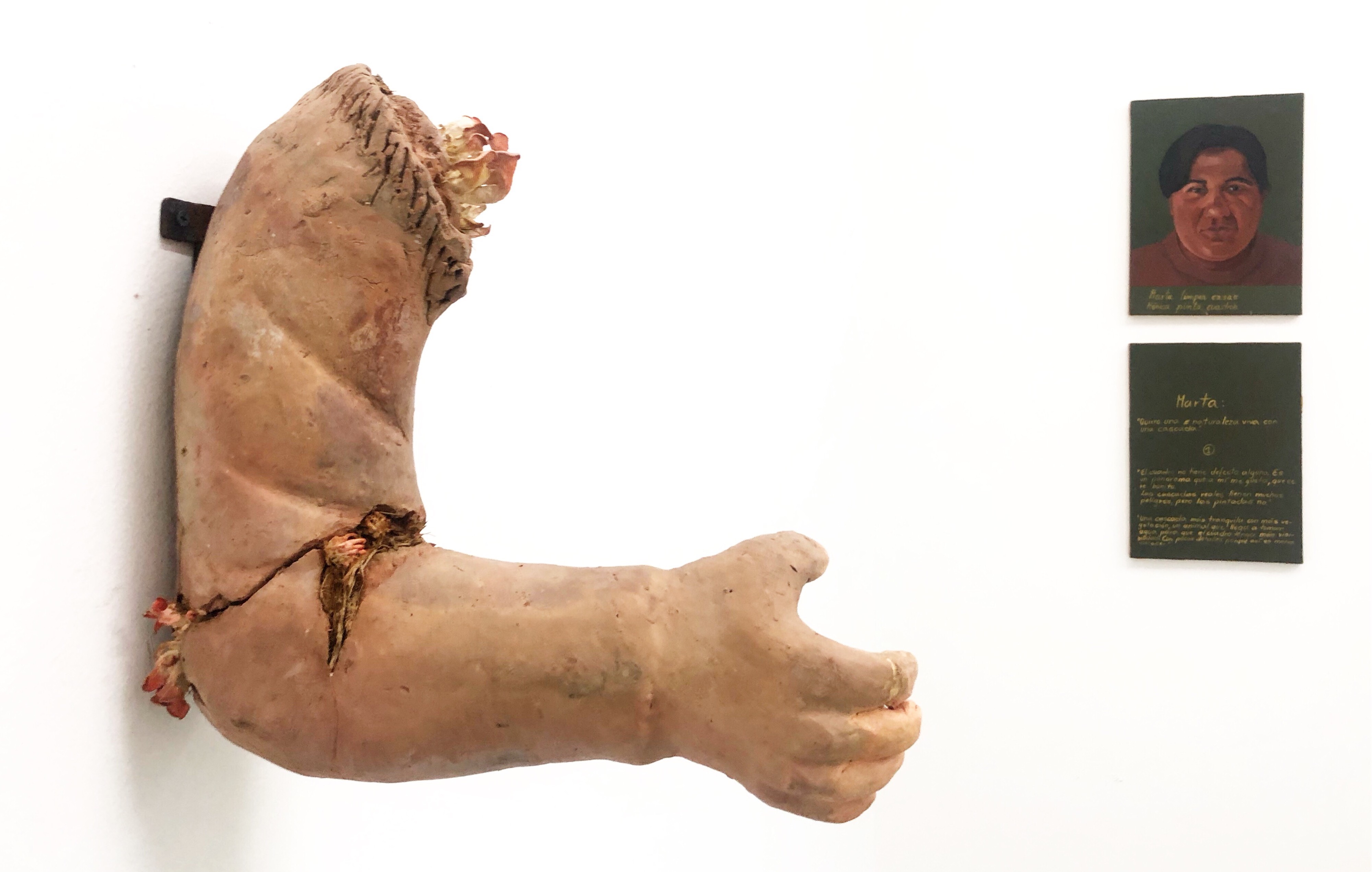 Paola de Anda. "Eventos fungi II (brazo)", 2018-2019 y Mónica Castillo, "Cuadros para Marta", 1995. Presencia Lúcida, ESPAC, 2019. Foto: Sandra Sánchez 