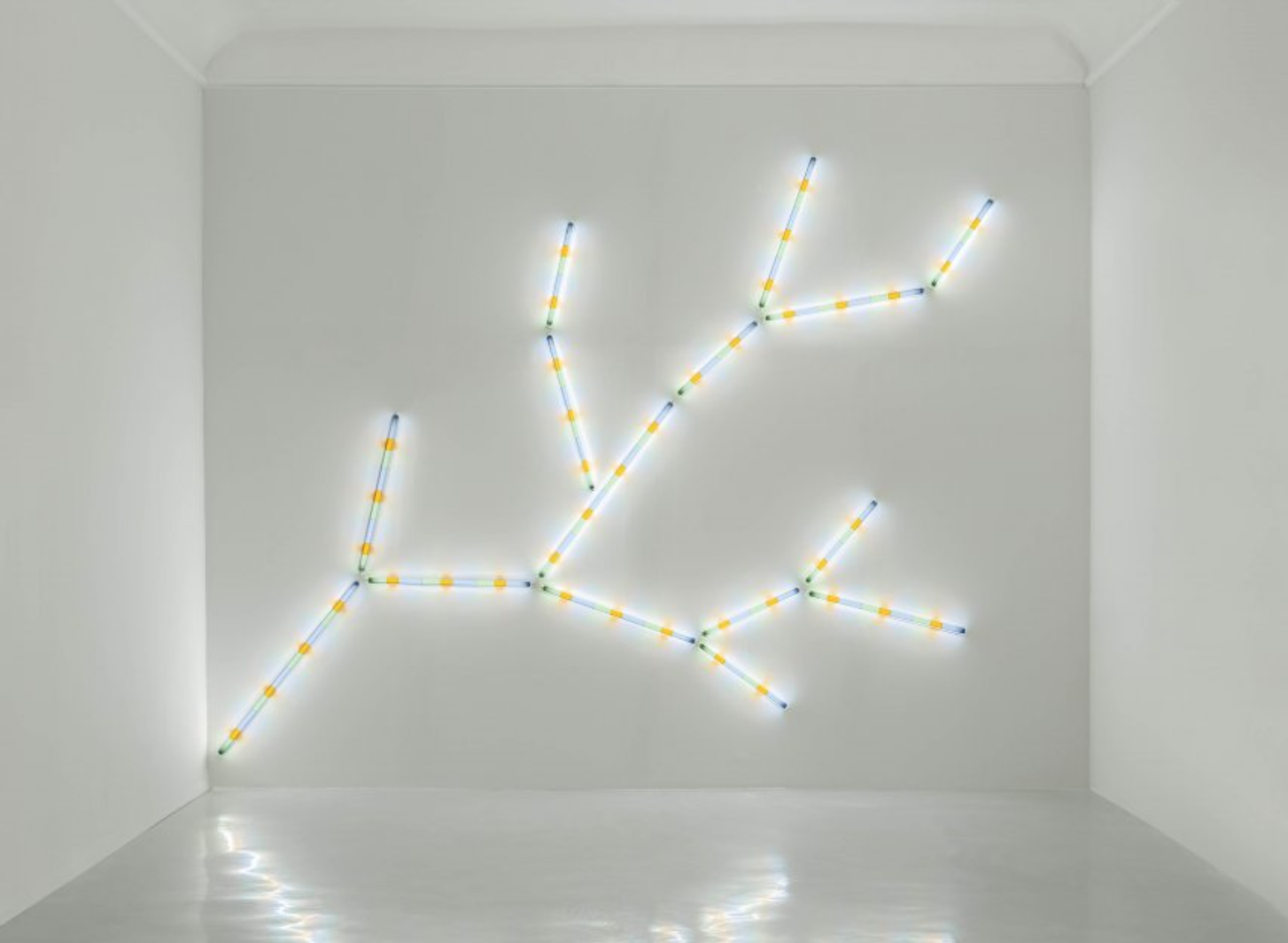 Spencer Finch, Shadow of Orange Tree (After Lorca), 2019, iluminación y filtros. Cortesía de Galerie Nordenhake 