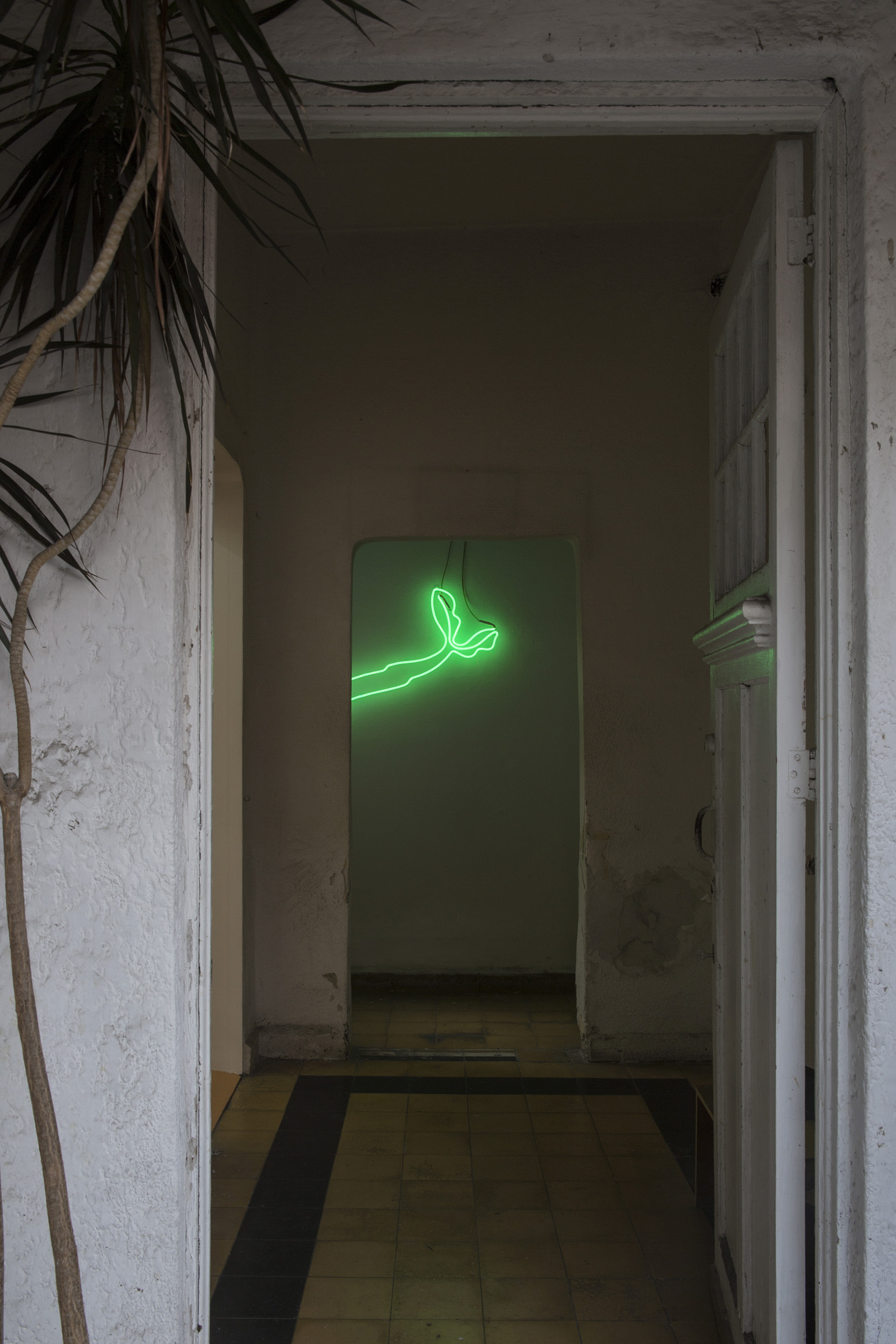 Installation view, Chelsea Culprit, Malas Madres, 2019, Lulu. Courtesy of Lulu