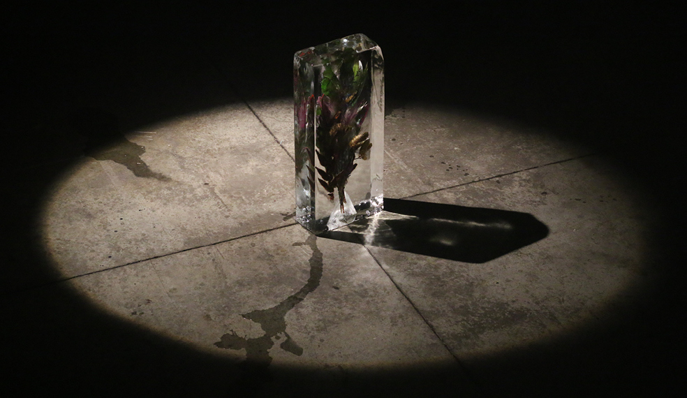Jorge Rosano Gamboa | Guided tour and screening