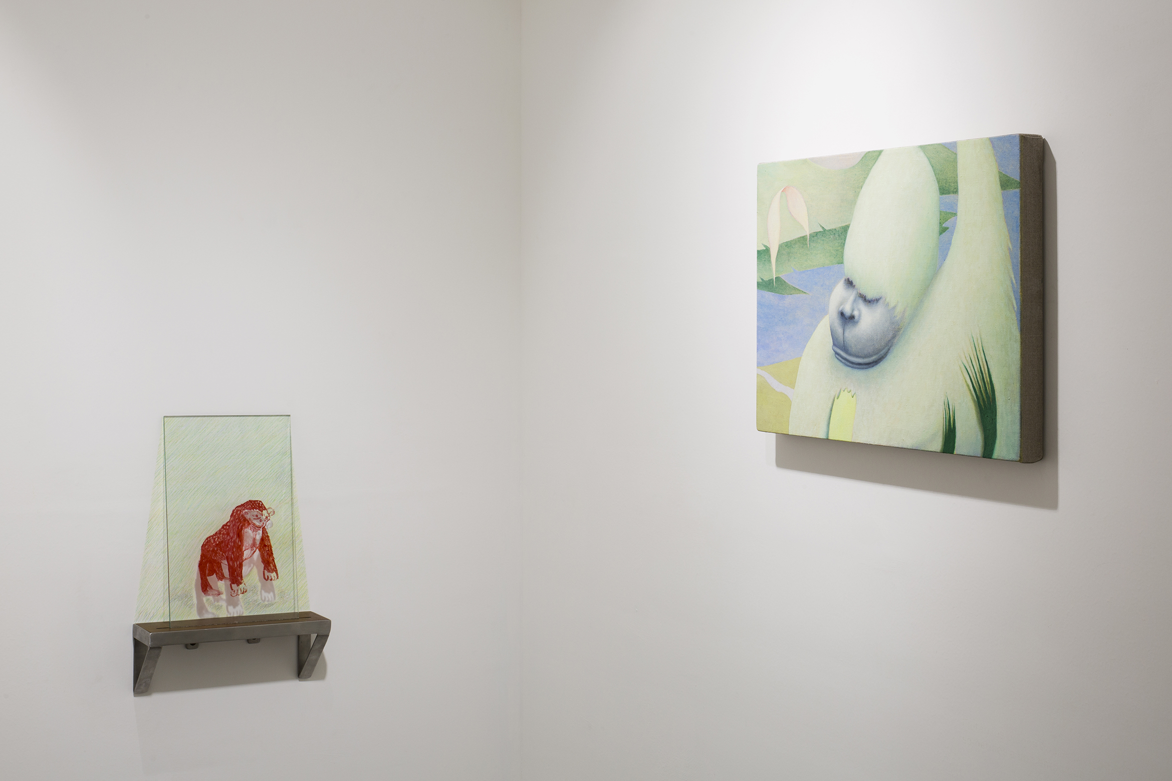 Akira Toxqui, Installation view, Jardín Primitivo, Archivo Colectivo, 2019. Courtesy of the gallery