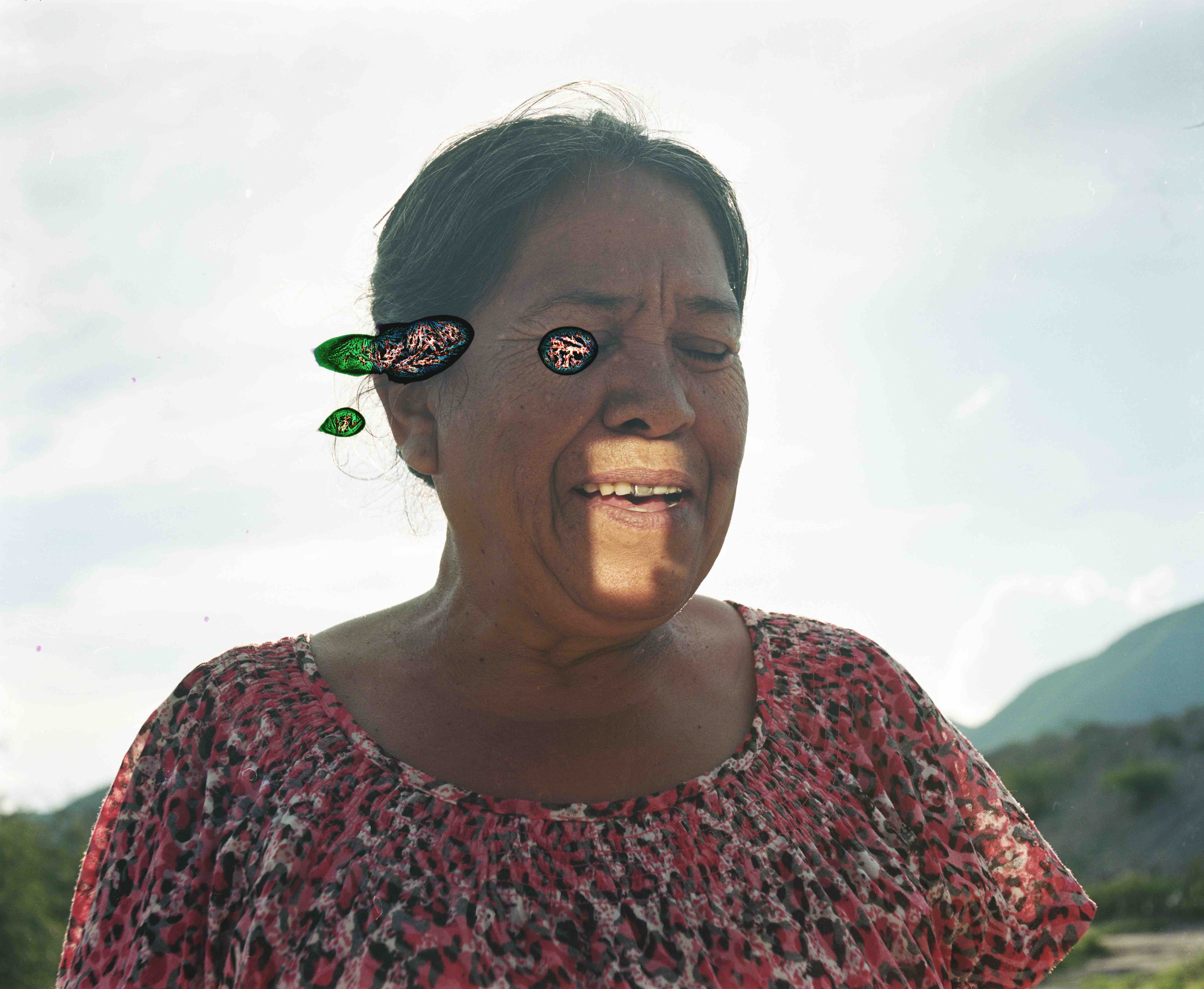 Rebellion consists in looking at a rose until the eyes turn to dust | On Pájaro Piedra