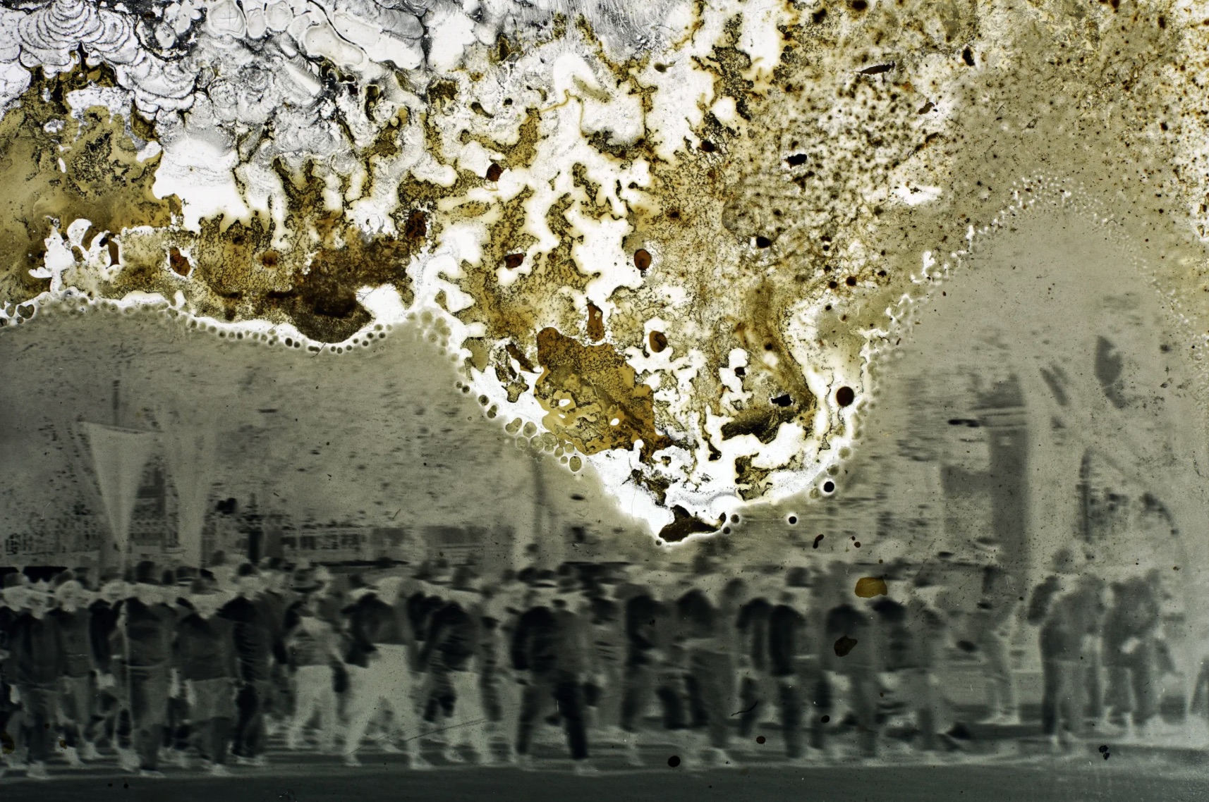 Joan Fontcuberta, Mictlán, 2020. Cortesía de Hydra