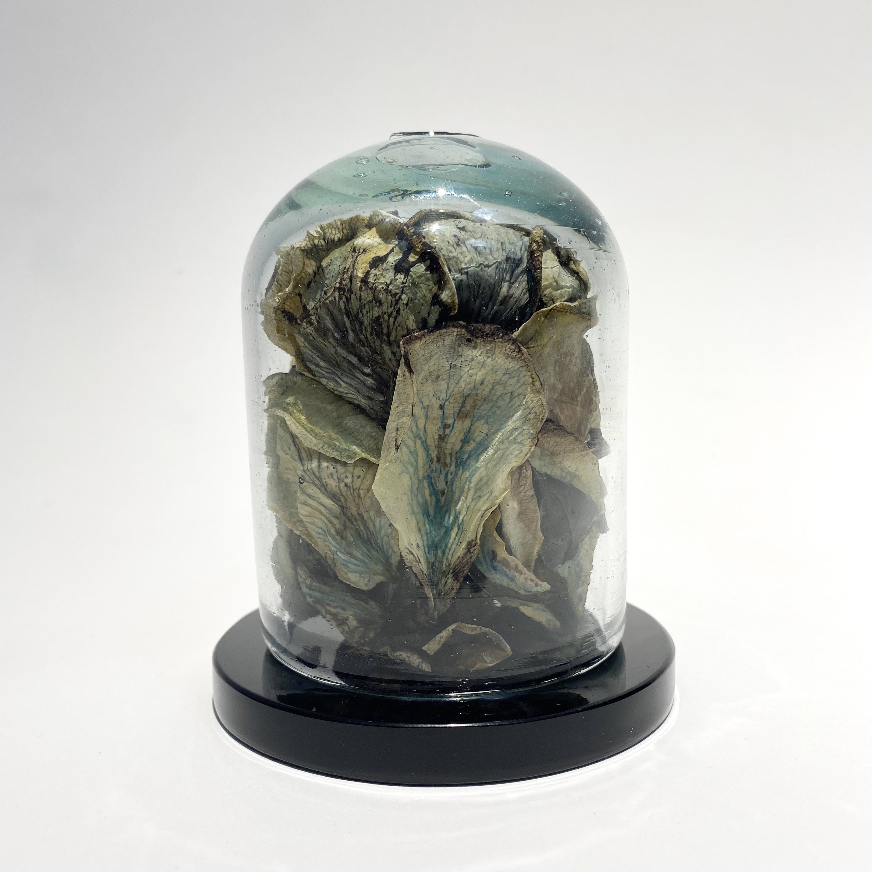 LATANGENTE's auction - Image 3