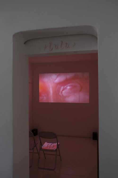 Installation view of Tijuana Tales, Jean-Charles Hue, Lulu, 2020. Courtesy of Lulu. Photo: Ramiro Chaves