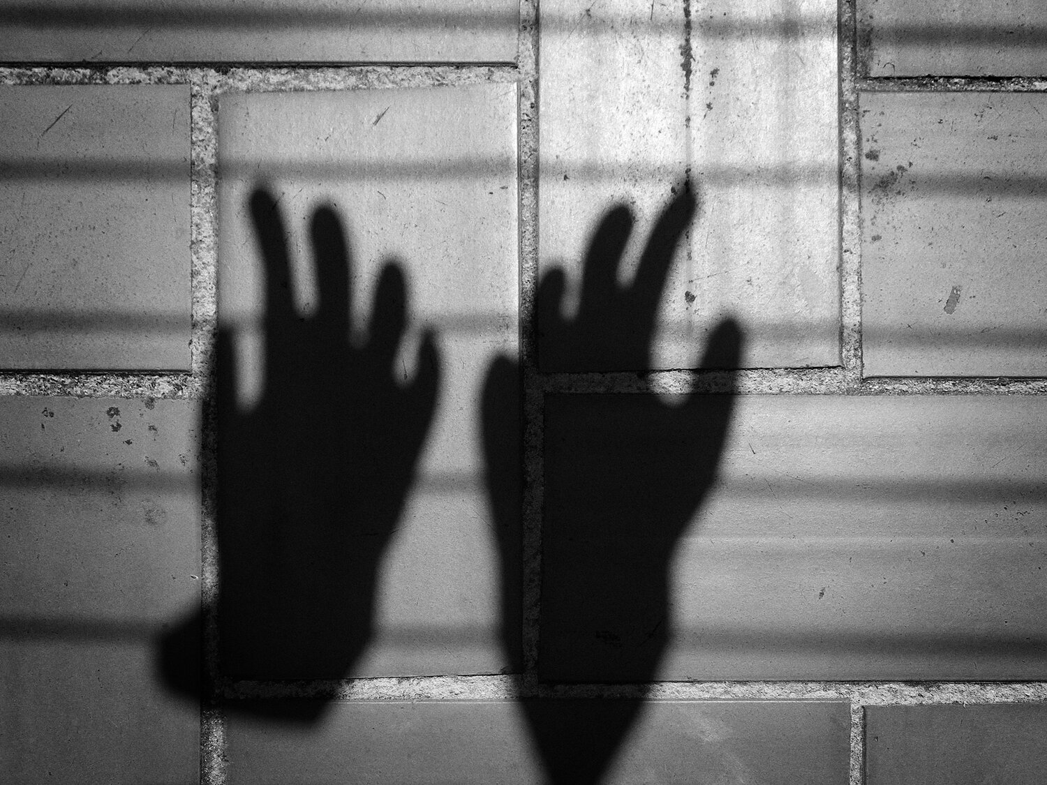 ¿Realmente se detuvo? Pausa, las miradas del confinamiento