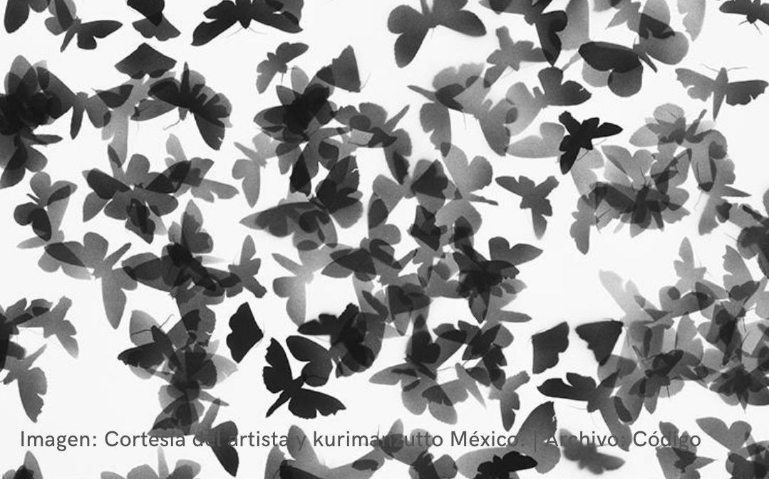 Contemporary art from Mexico. Artists, formats and discourses