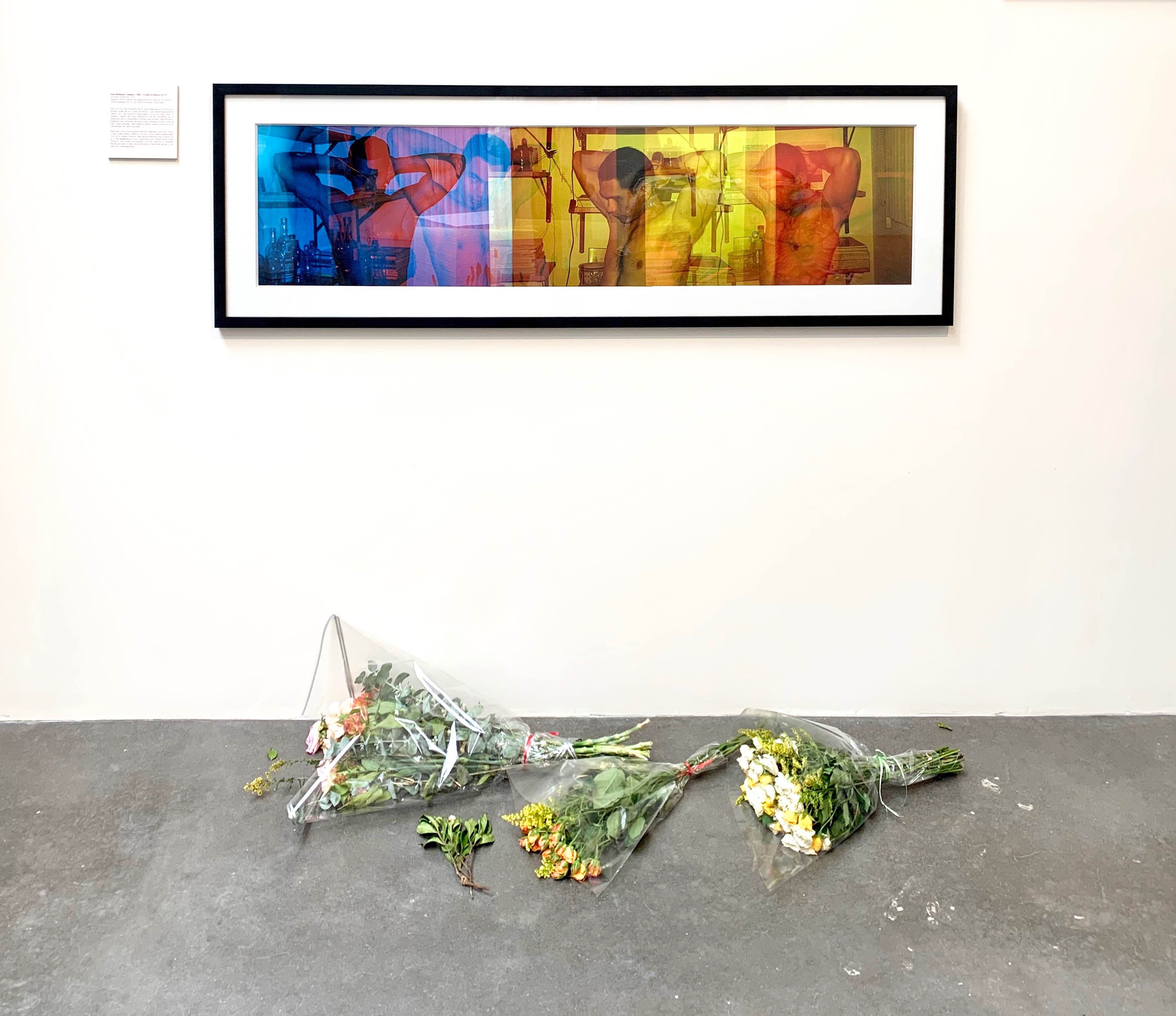 Photograph by Alan Balthazar in SEXplay by Salón Silicón in Siembra, kurimanzutto, 2020. Photo: Fabiola Talavera