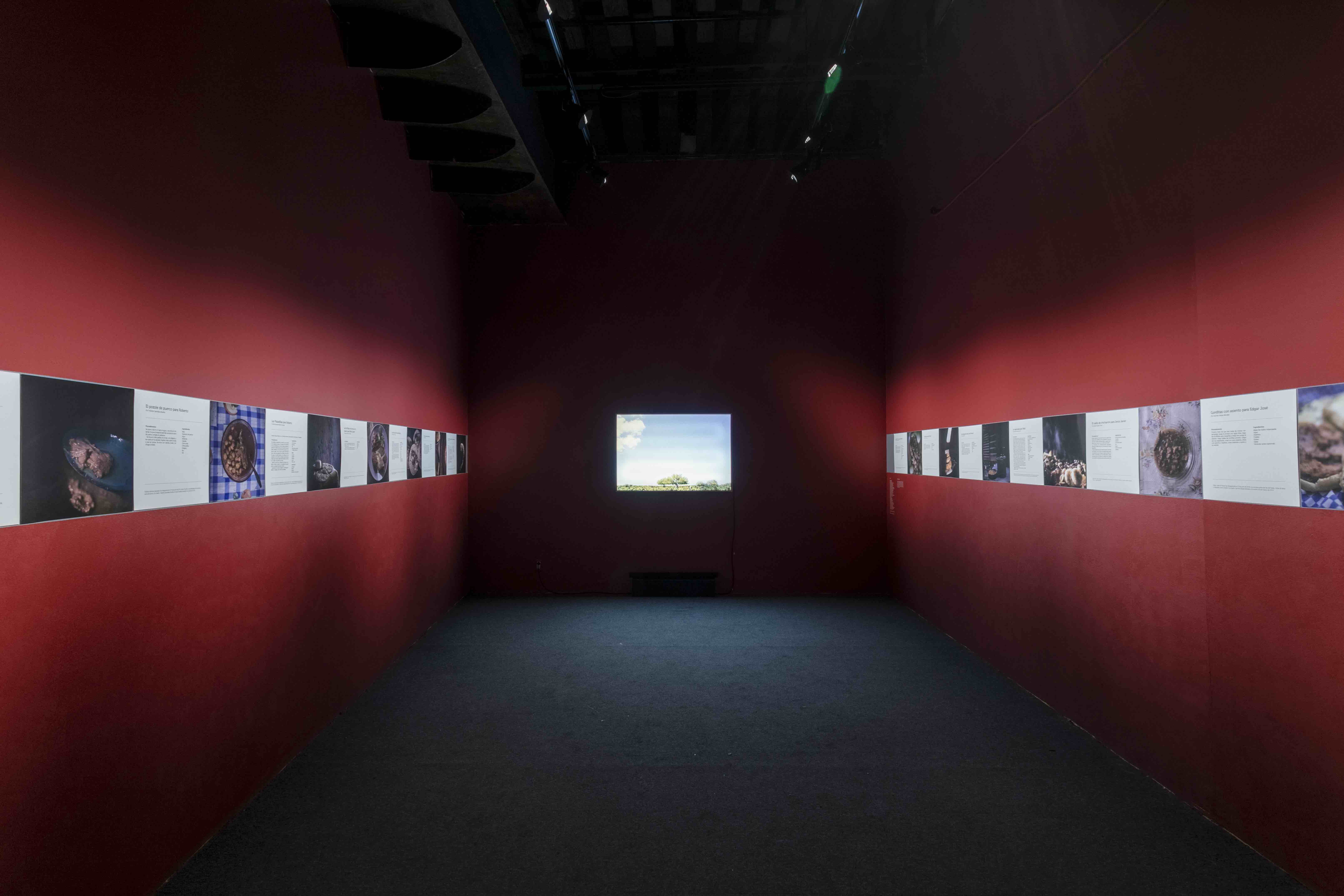 Installation view of Recetario para la memoria
Zahara Gómez Lucini and Las Rastreadoras del Fuerte, 2020. Courtesy of the Centro de la Imagen