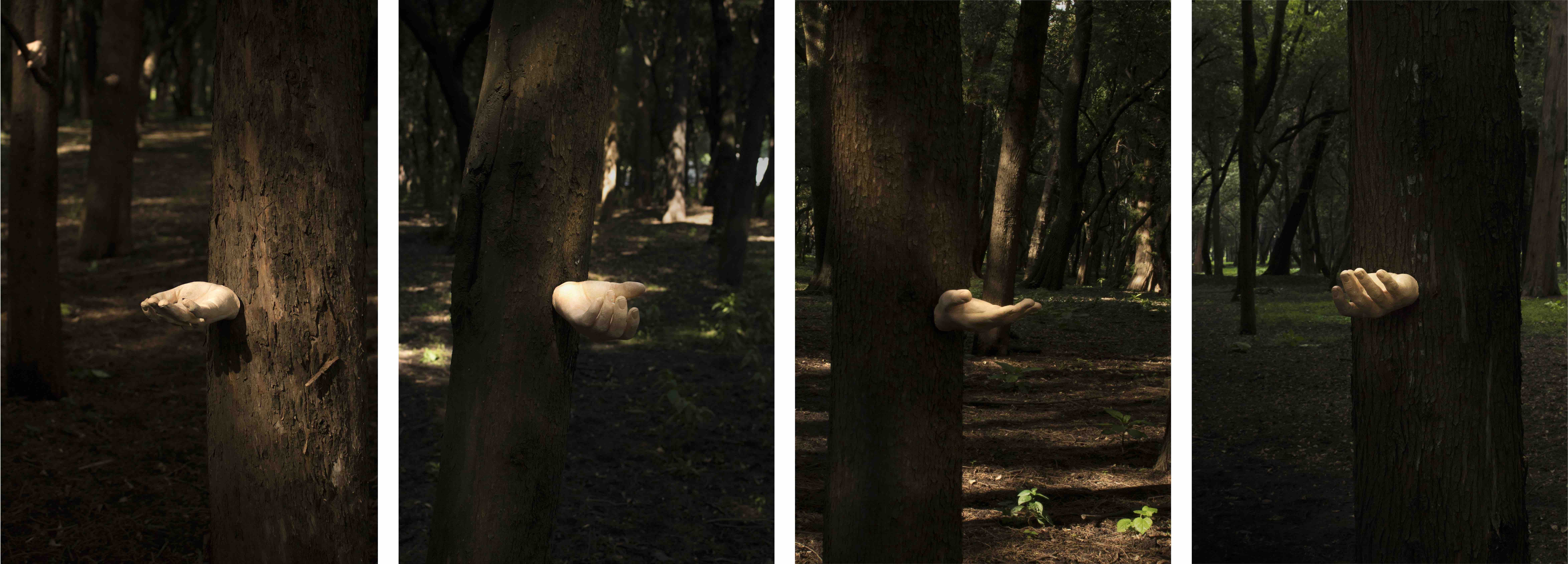 Cuentos de la Gente de Árbol, Santiago Gómez. Cortesía del artista.