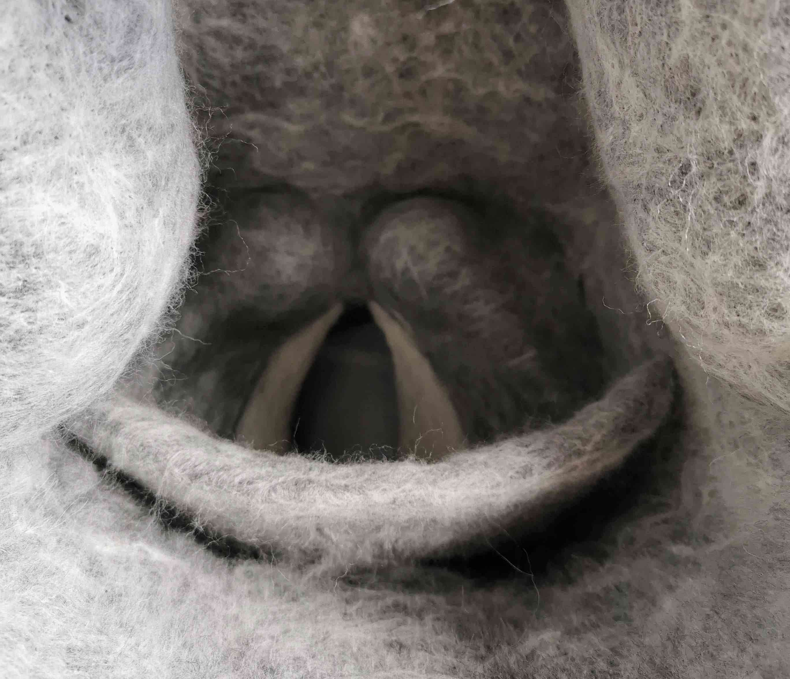 “Do No Harm”: Soft Bodies by Paloma Rosenzweig