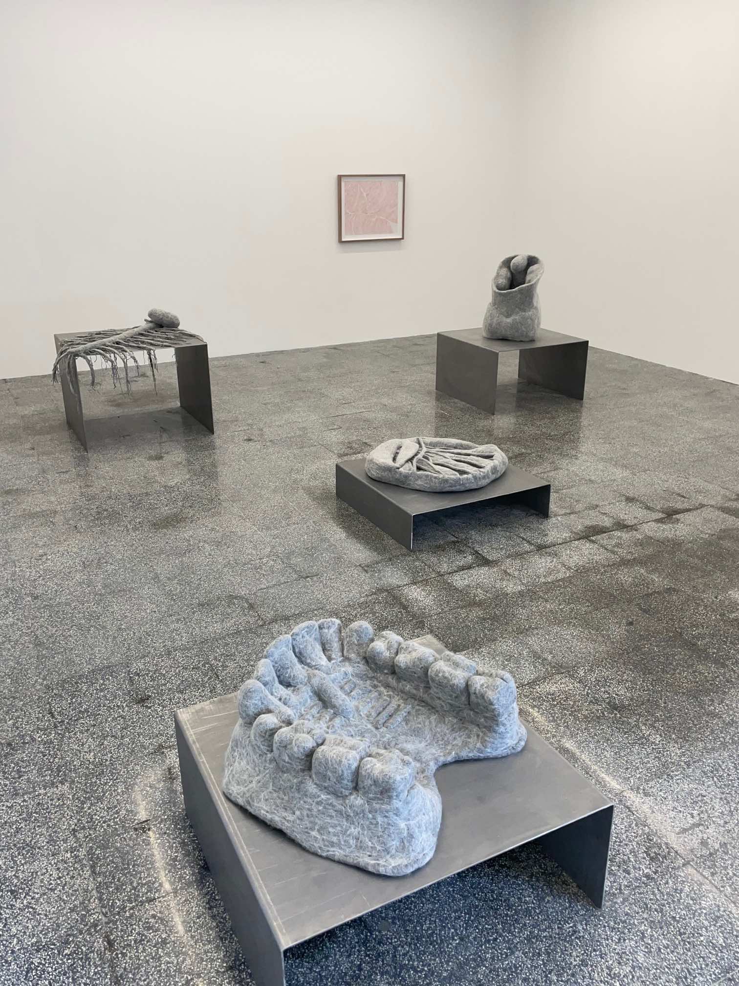 Paloma Rosenzweig, installation view, Cuerpos suaves, 2021, Bóca. Courtesy of Bóca. Photo: Andrea Bustillos