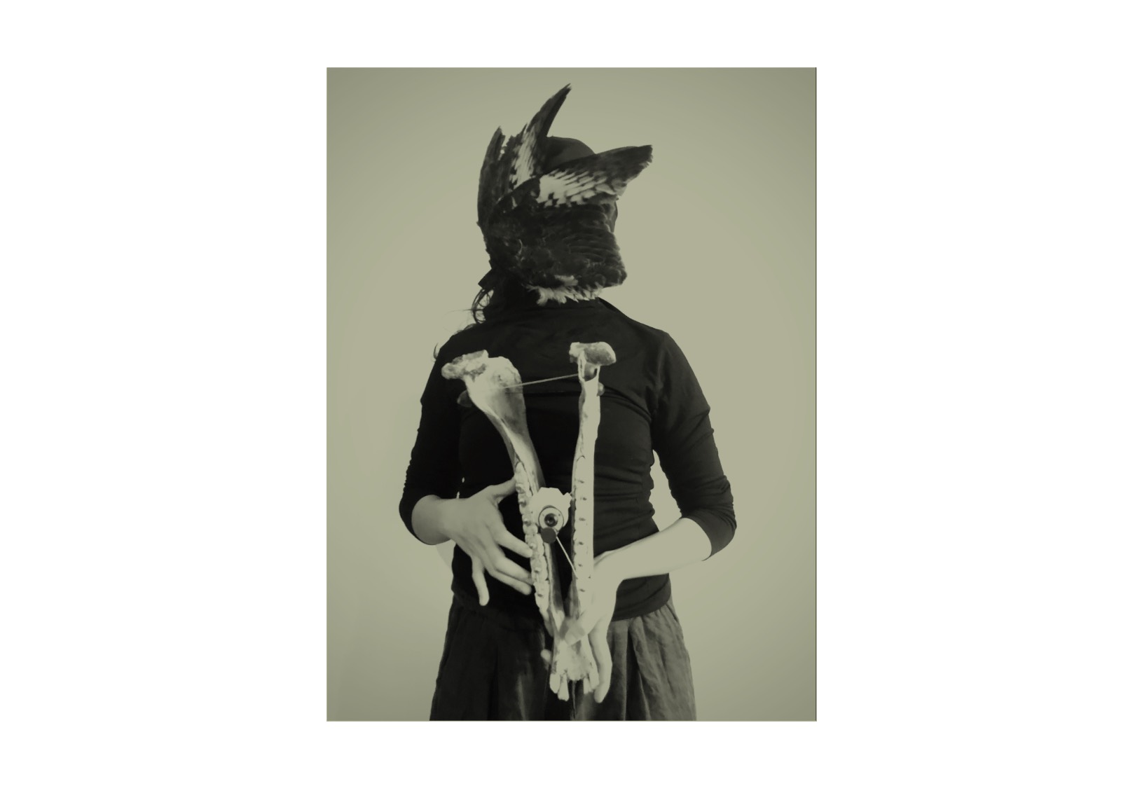 Volta