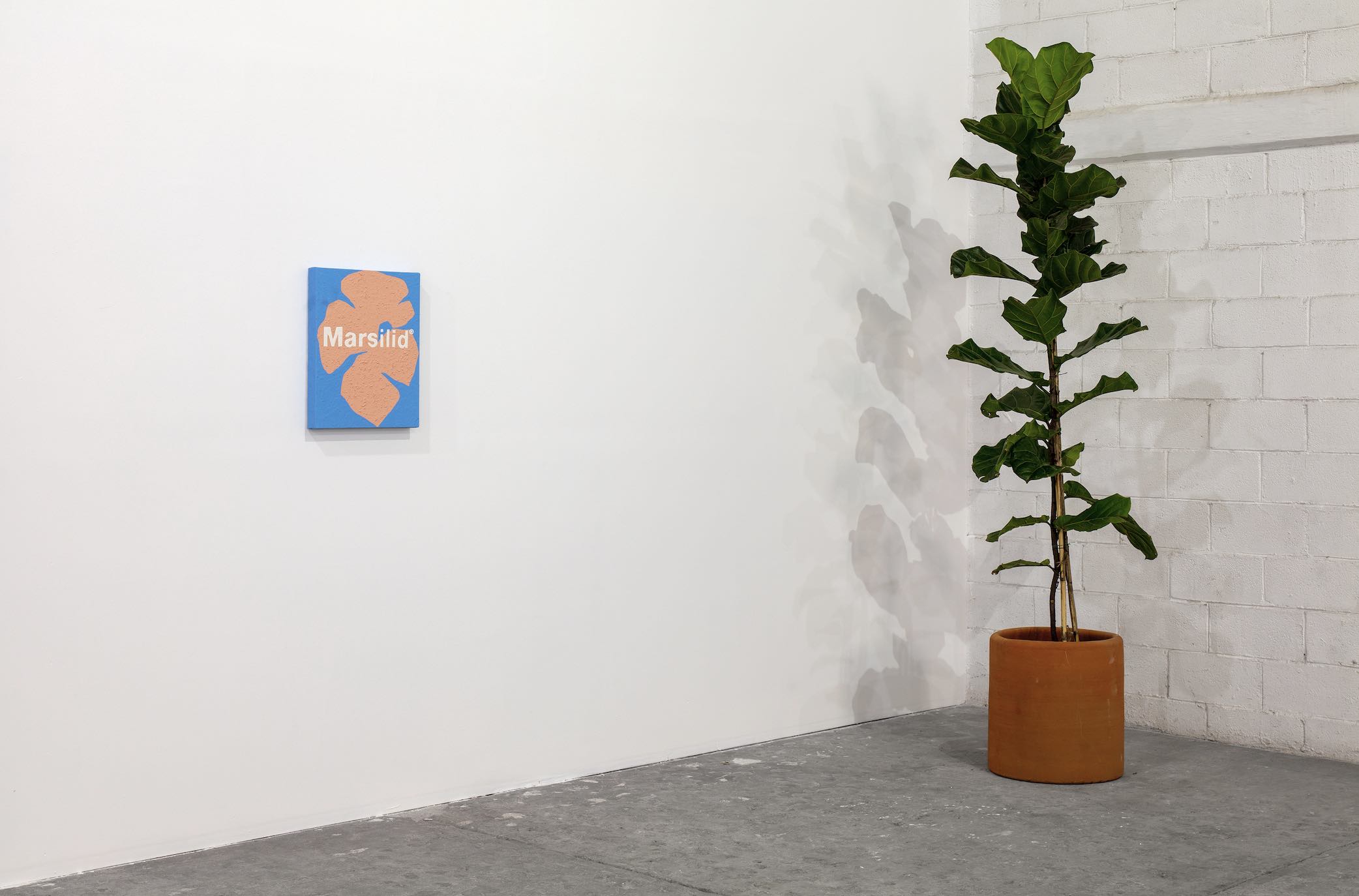 Painting and Pharma, Enrique López Llamas. Courtesy of the artist and LLANO (Mexico City). Photo: WhiteBalanceMX