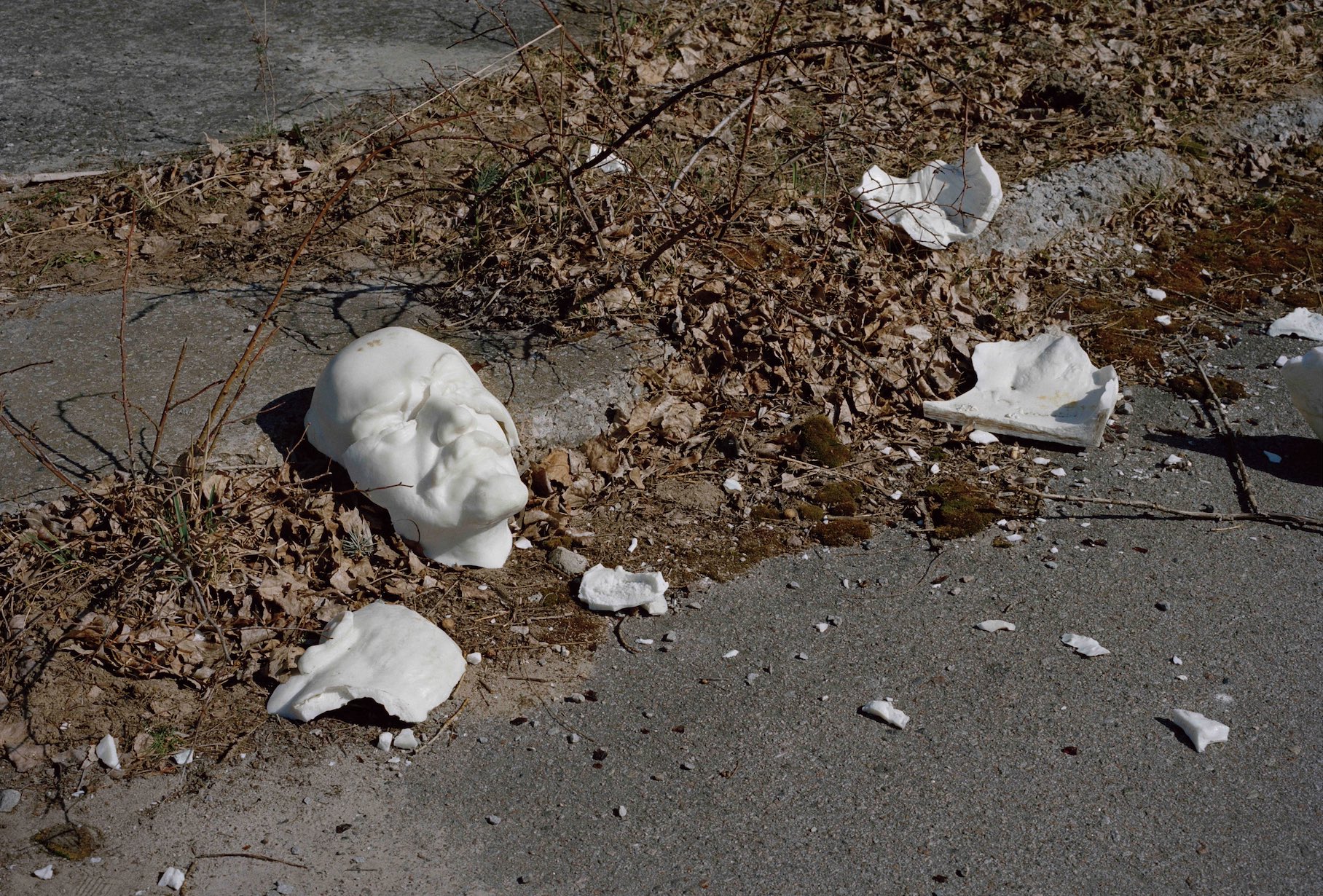 Raúl Ortega Ayala, Field note 24-03-14-120mm 196 (Wallpaper, Pripyat, Chernobyl) in collaboration with Roberto Rubalcava and Peter Miles, 2022. From the Pit of Et Cetera. Courtesy of the artist and Proyectos Monclova