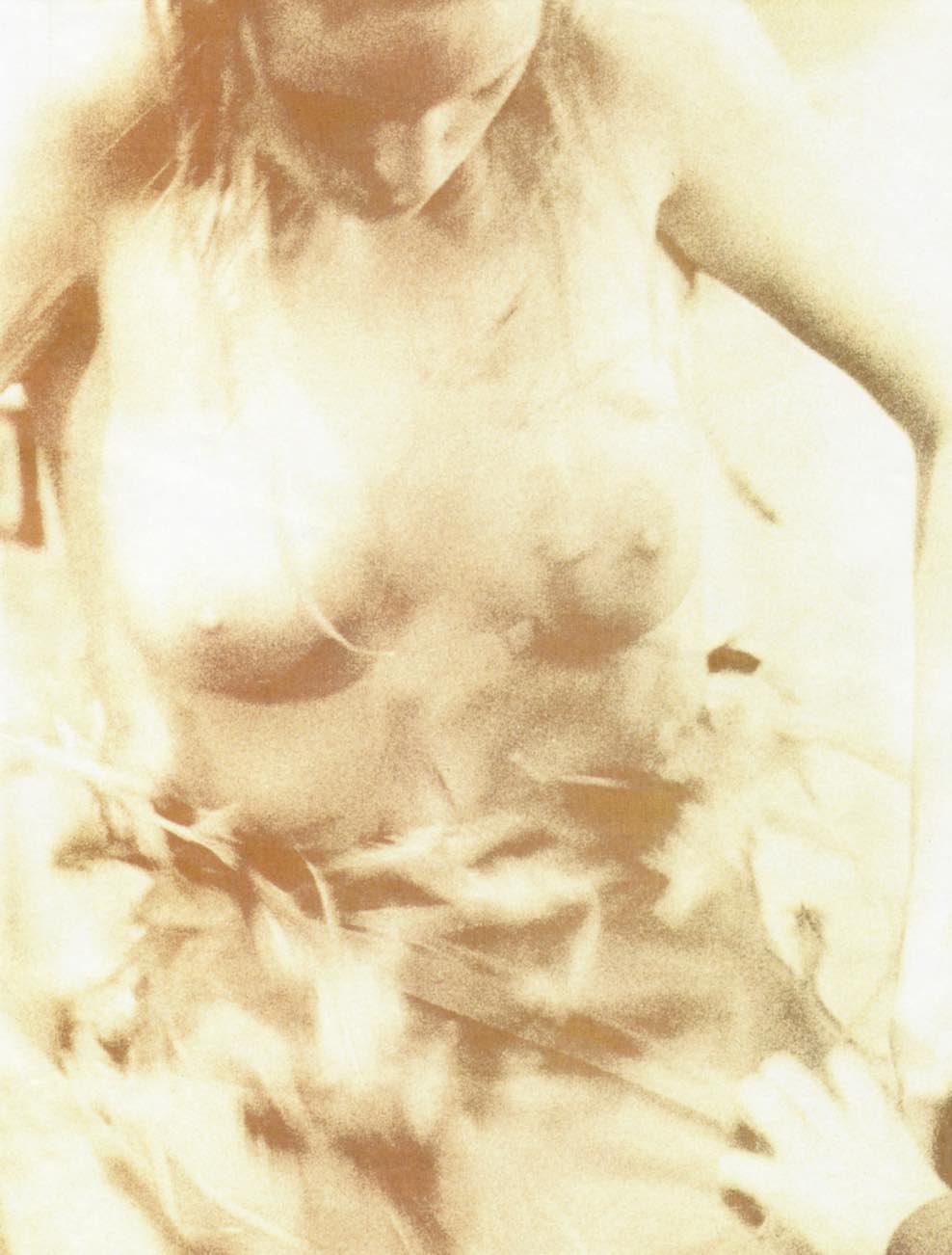 Naked Torso with Feathers, Paris, 2001/2022. Cortesía Studio Semotan y Campeche, Ciudad de México ©️Elfie Semotan