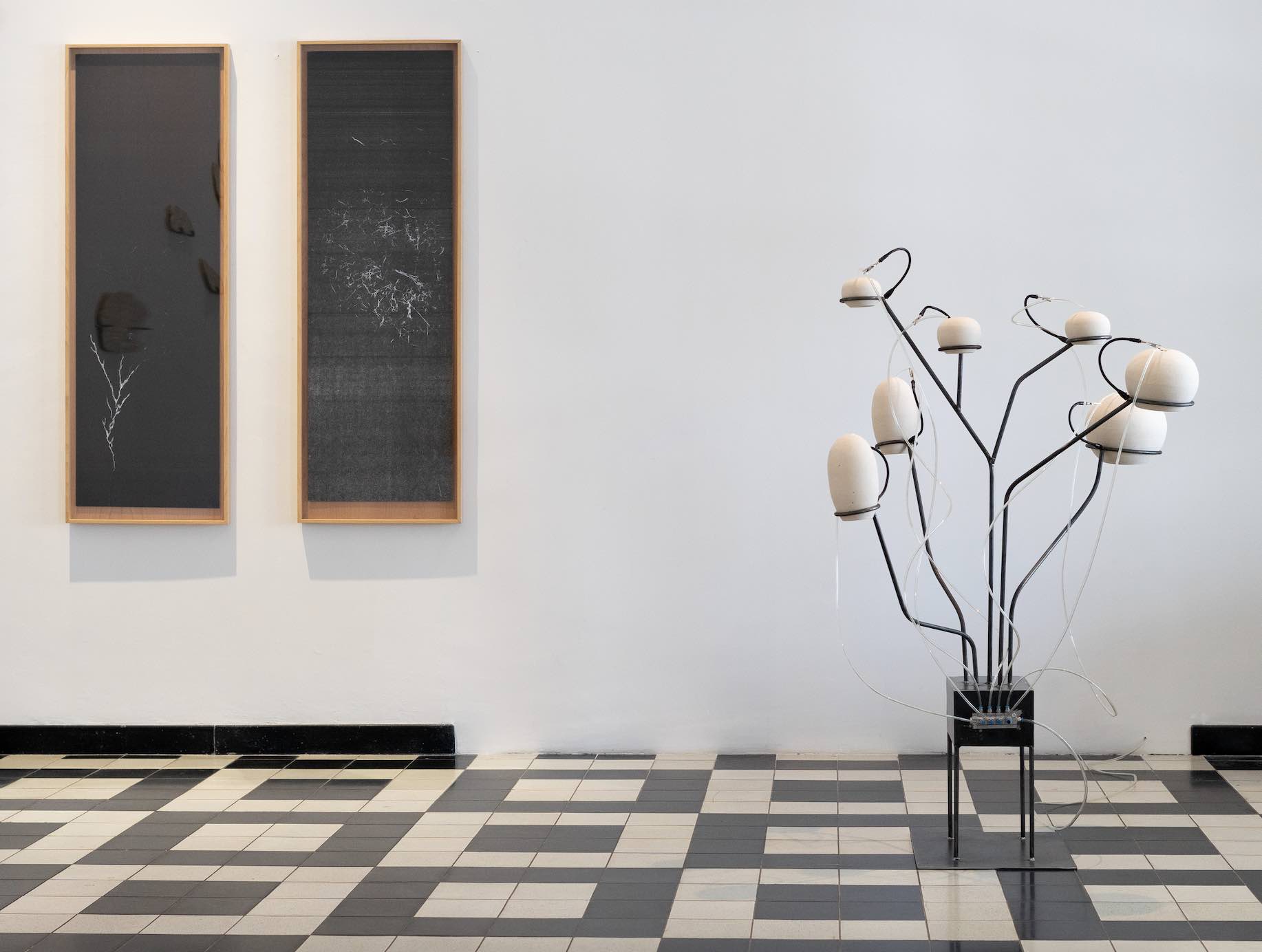 Exhibition view, Ana Paula Santana, ‘Respirar es oír adentro’, Proyecto Arte, Guadalajara, 2023. Courtesy of the artist