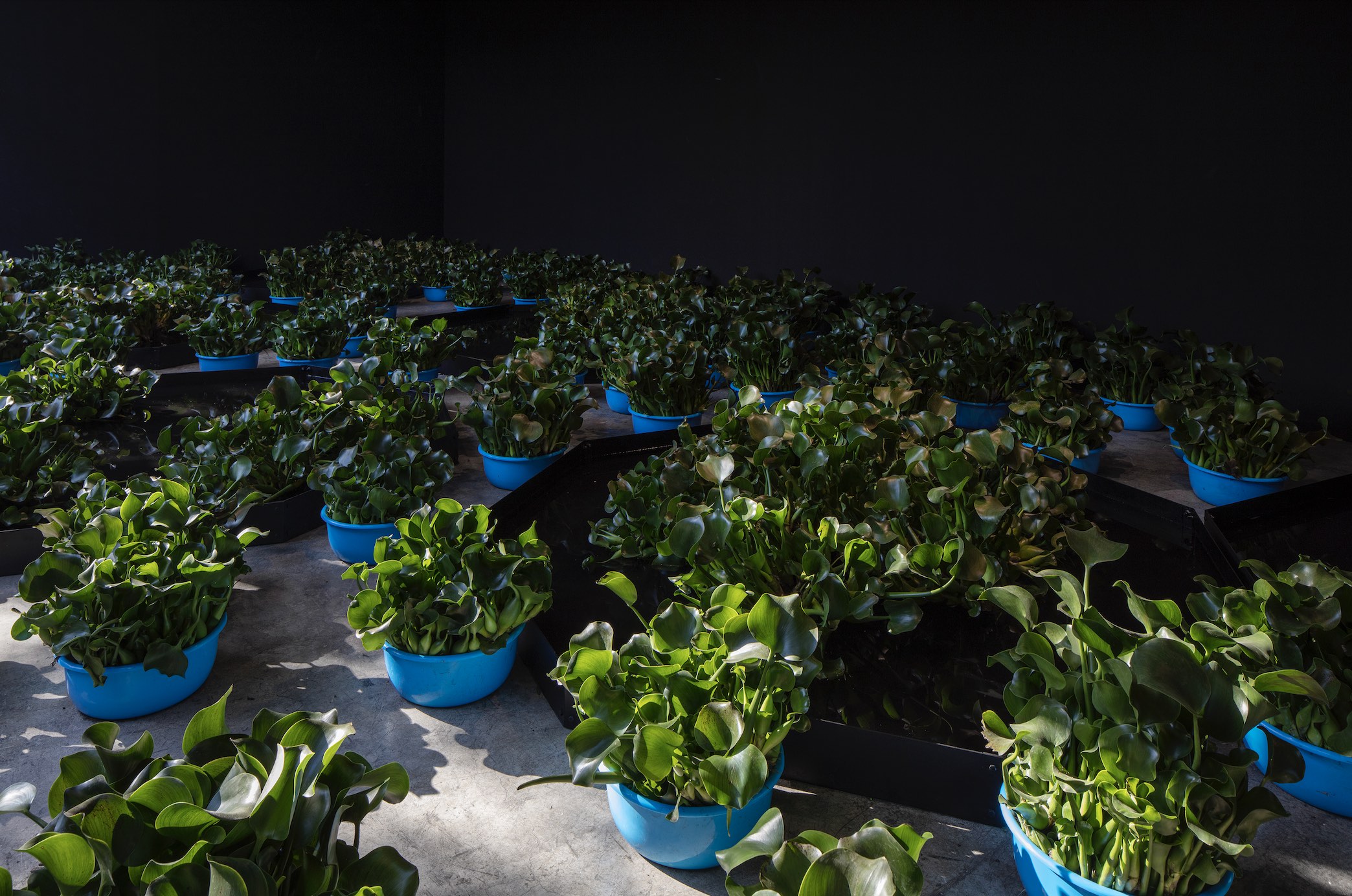 Héctor Zamora, “Delirio”, 2023. Exhibition view at Labor. Photo by Ramiro Chaves.
Courtesy of the artist and Labor, Mexico City