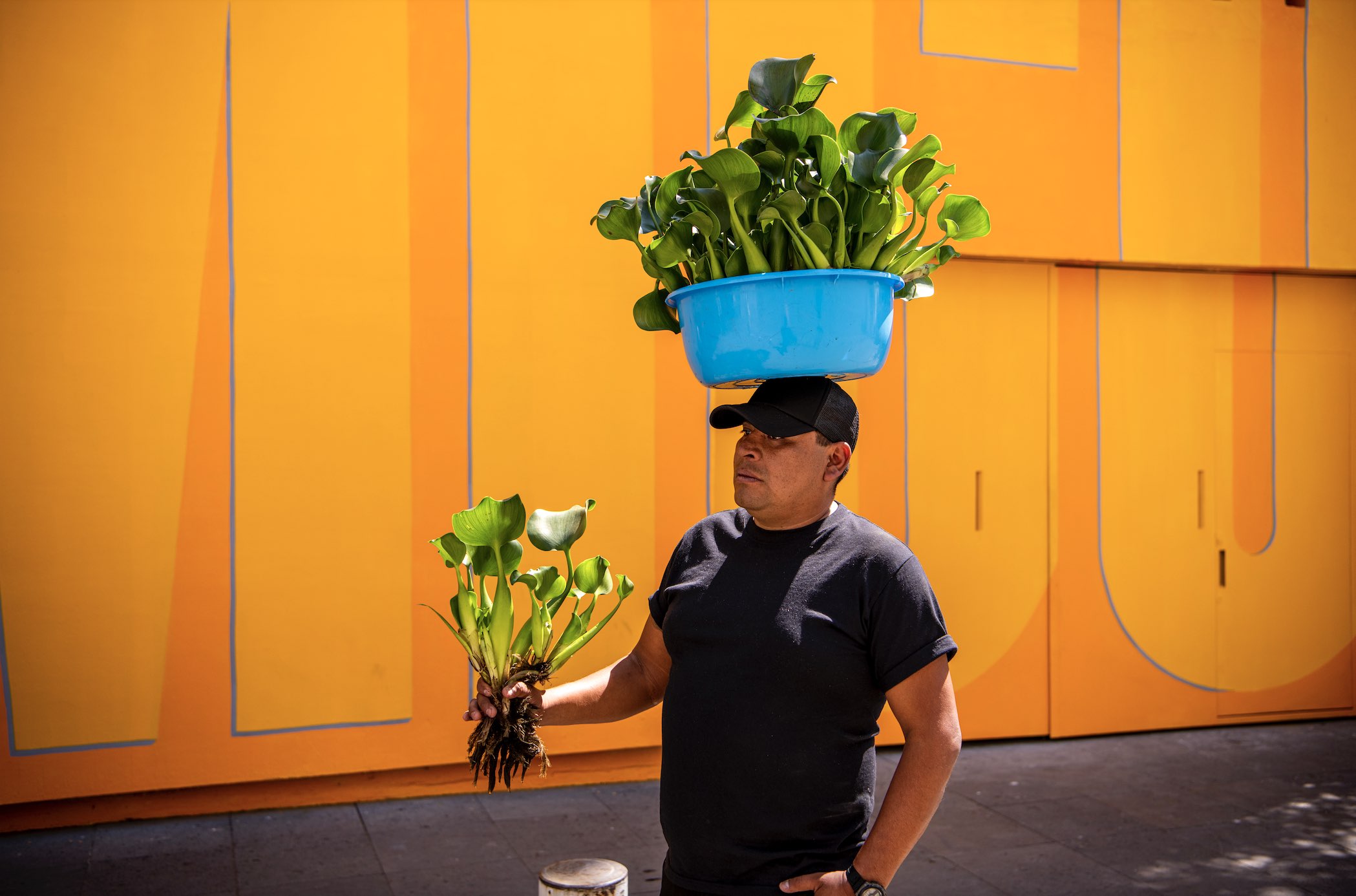 Héctor Zamora, “Delirio”, 2023. Performance at Labor, Mexico City. February 2023. Photo by Fernando Medellín. Courtesy of the artist and Labor, Mexico City