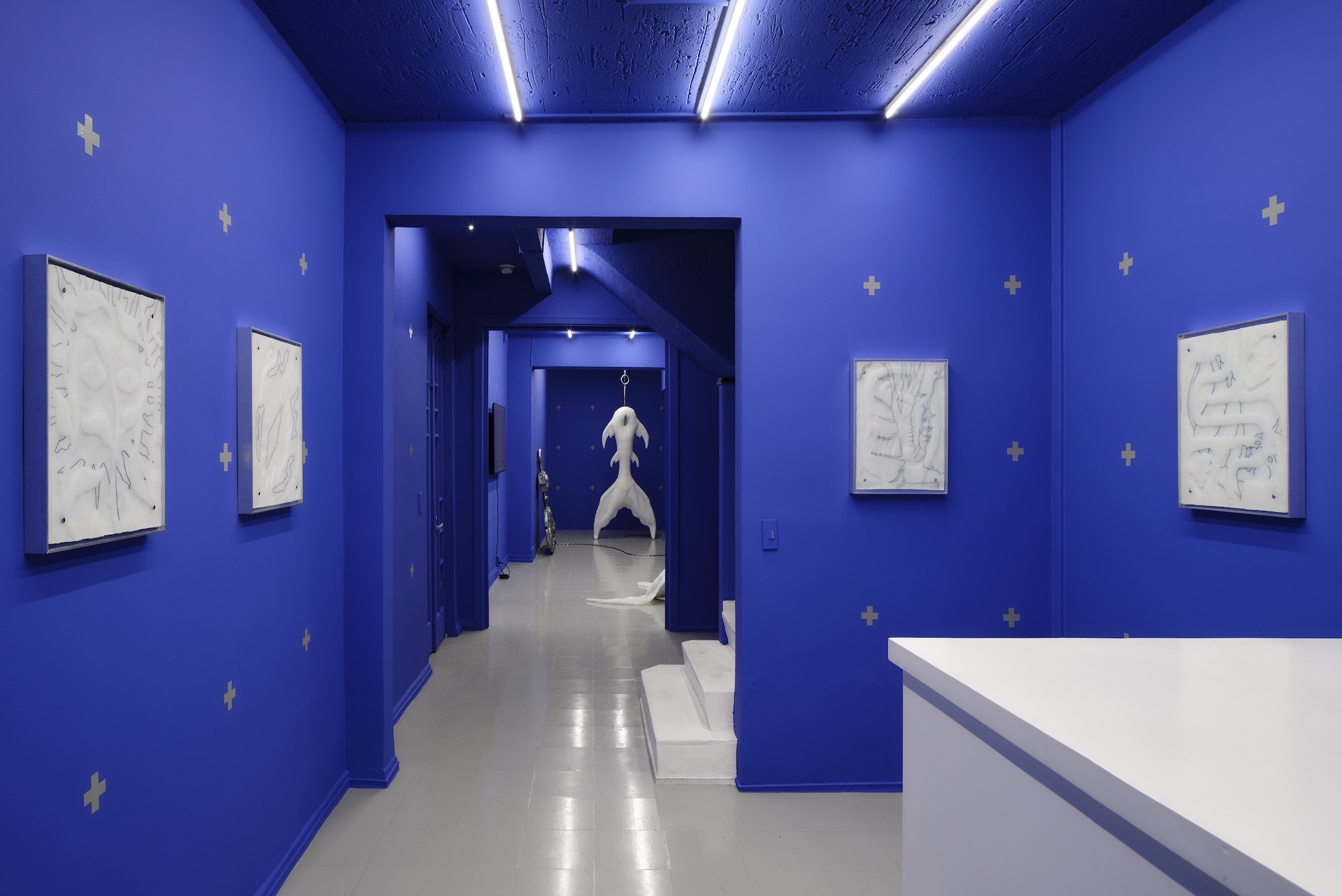 Exhibition view, Tank, 2023. © Photo by Sergio López. Courtesy of the artist and Pequod Co.