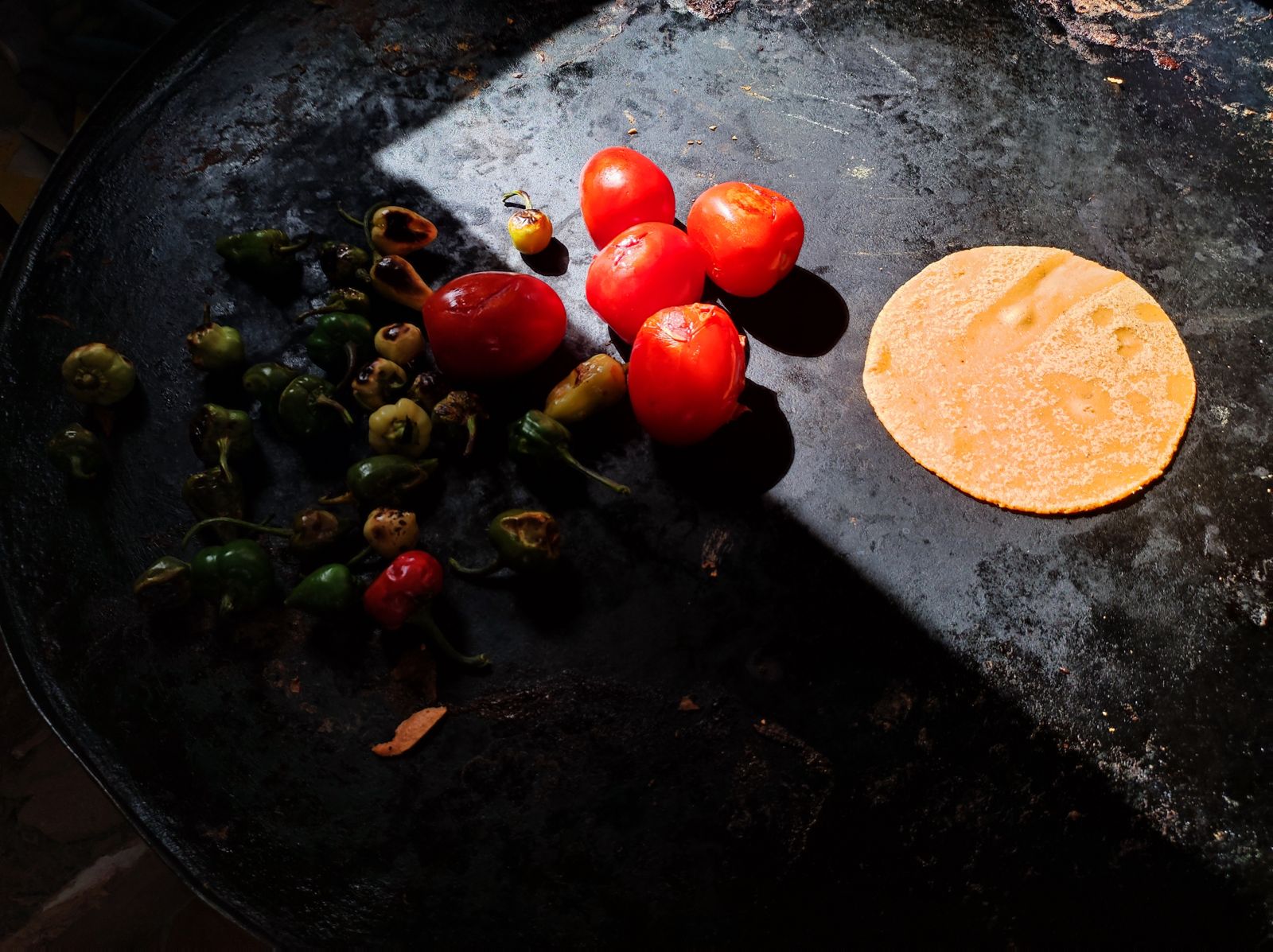 Collective cooking session | Modthern Nature