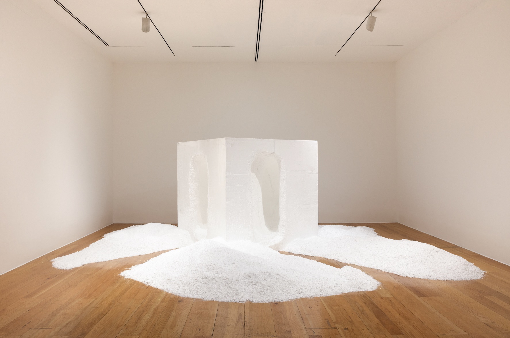 Vista de la exposición ‘Damián Ortega: Pico y elote’. Cortesía MARCO