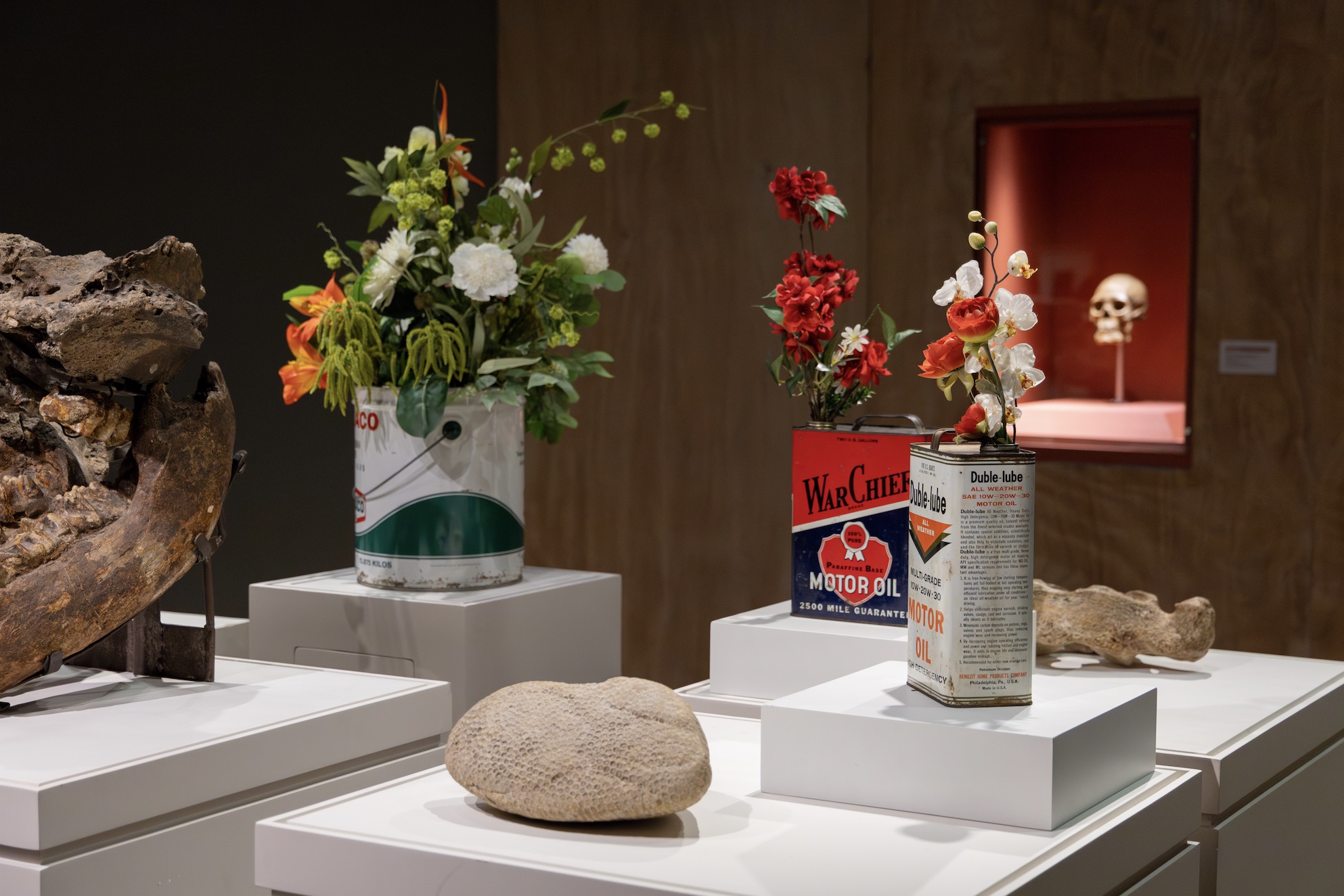 Installation view of the exhibition ‘Imaginar el fin de los tiempos: historias de aniquilación, apocalipsis y extinción’. Museo Nacional de Antropología (MNA). Courtesy of the Käte Hamburger Center for Apocalyptic and Post-Apocalyptic Studies (CAPAS)