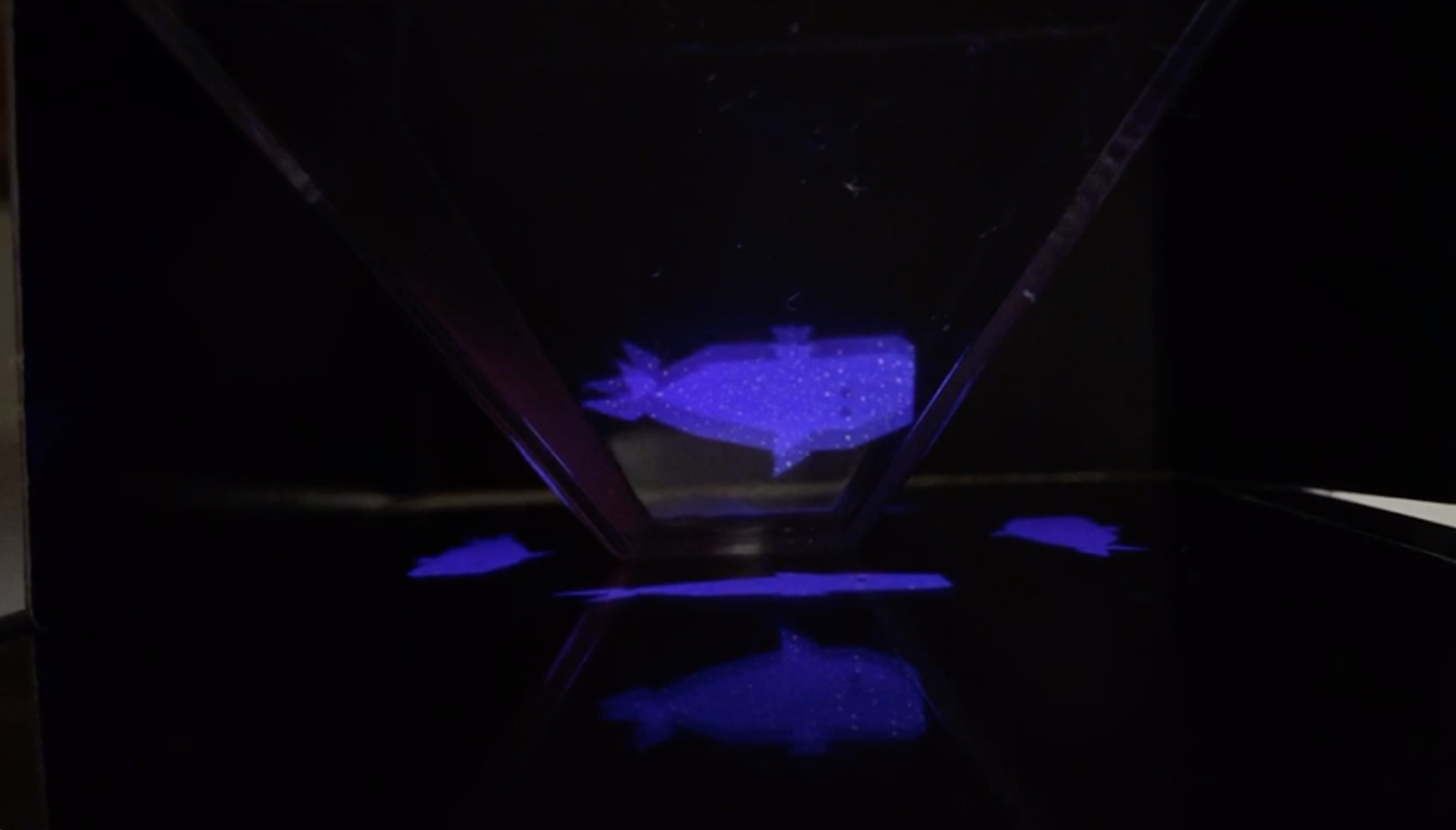 En búsqueda de lo invisible | Holograms and memes workshop (THREE)