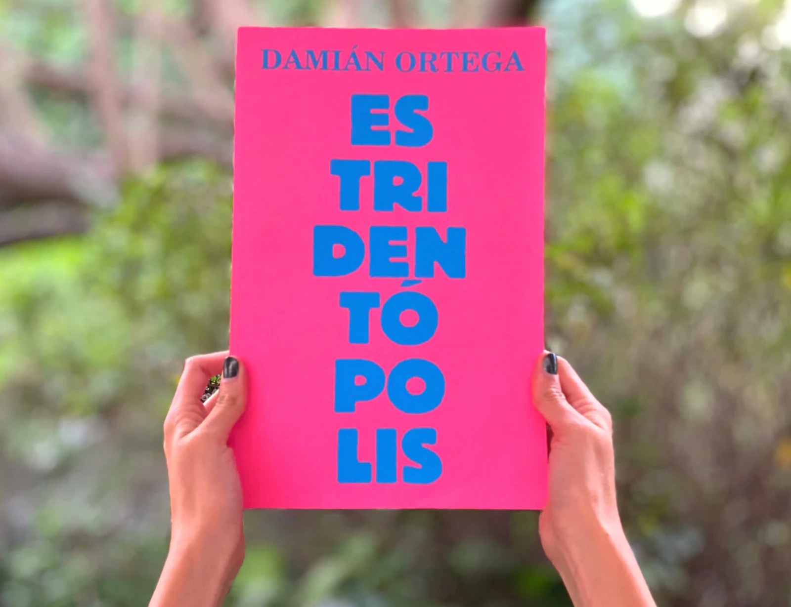 Estridentópolis de Damián Ortega