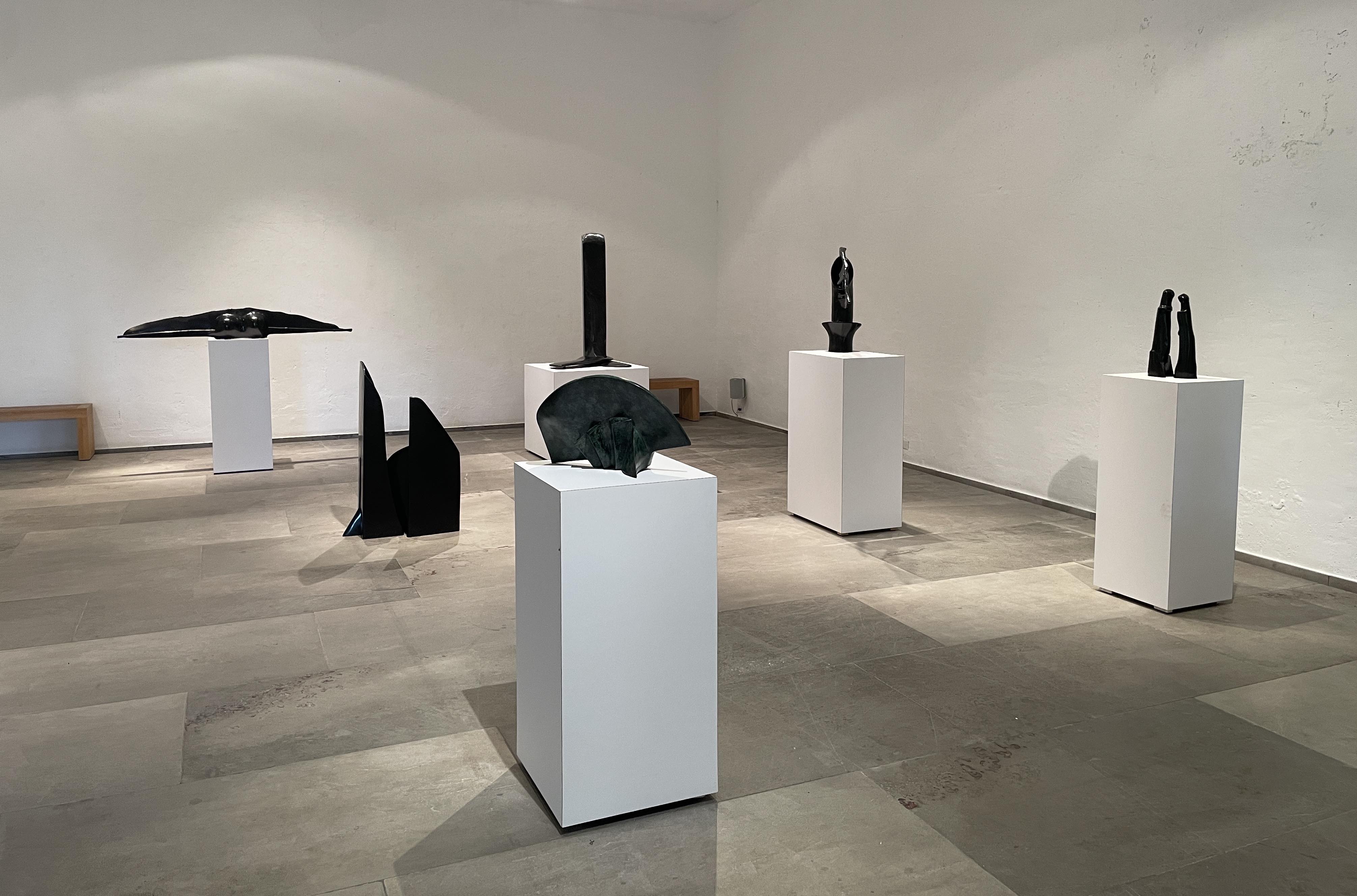 Vista de la exposición de Marina Láscaris, 'Por cielo y tierra', Drexel Galería. Foto: Ana Cadena 