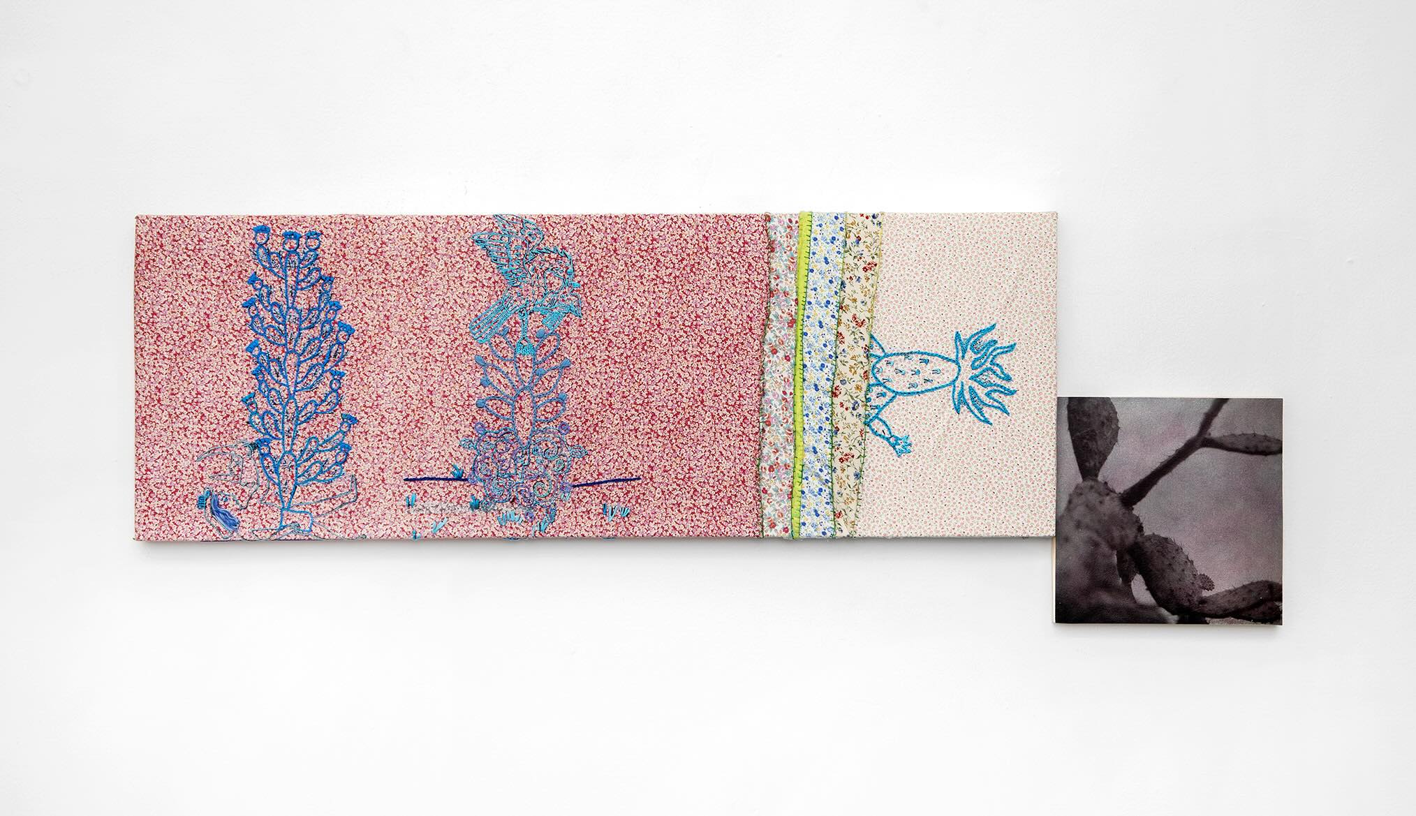 Wendy Cabrera Rubio, Señorita eugenesia y otros cuentos, exhibition view. Courtesy of the artist and General Expenses. Photo: Bruno Ruiz