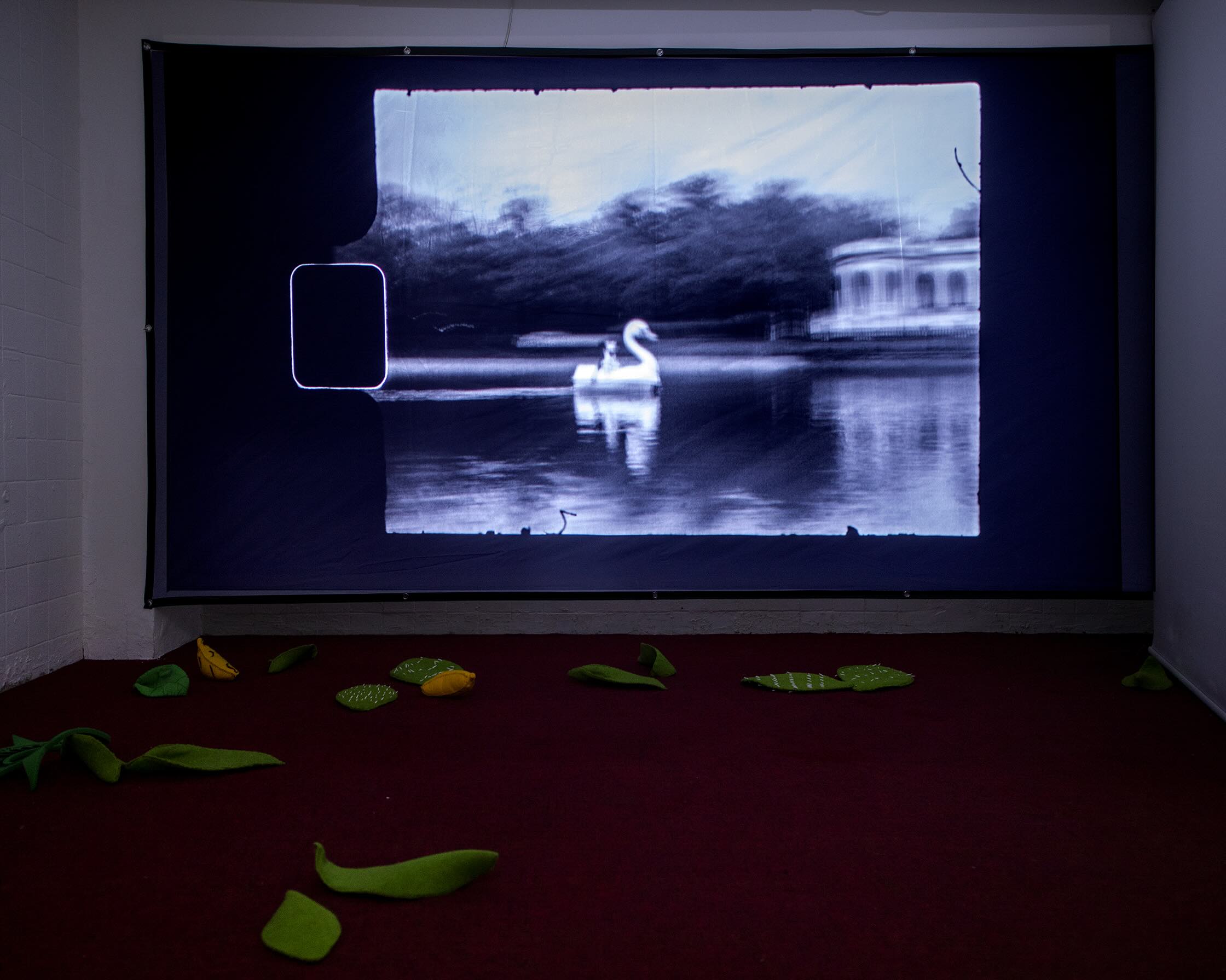 Wendy Cabrera Rubio, Señorita eugenesia y otros cuentos, exhibition view. Courtesy of the artist and General Expenses. Photo: Bruno Ruiz