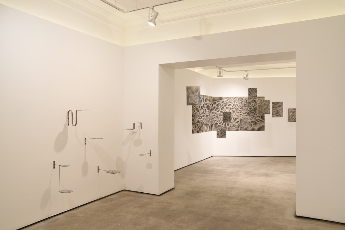 Sonia Bandura, ‘Corteza líquida’, exhibition view. Courtesy of La Nao, photography: Enrique Murguía
