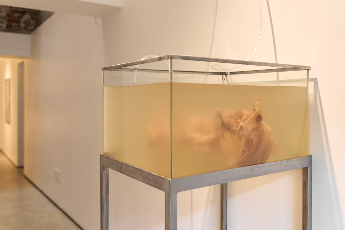 Sonia Bandura, ‘Corteza líquida’, exhibition view. Courtesy of La Nao, photography: Enrique Murguía