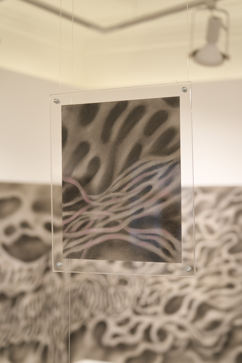 Sonia Bandura, ‘Corteza líquida’, exhibition view. Courtesy of La Nao, photography: Enrique Murguía