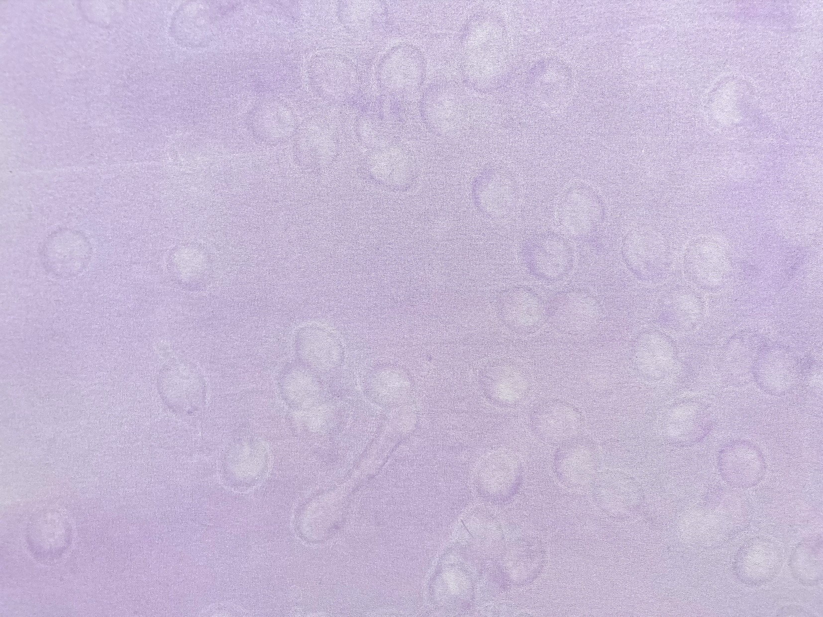 Ana Bidart, Microdancing (detail). Courtesy of the artist and Proyecto Paralelo. Photography: Alfredo Mora