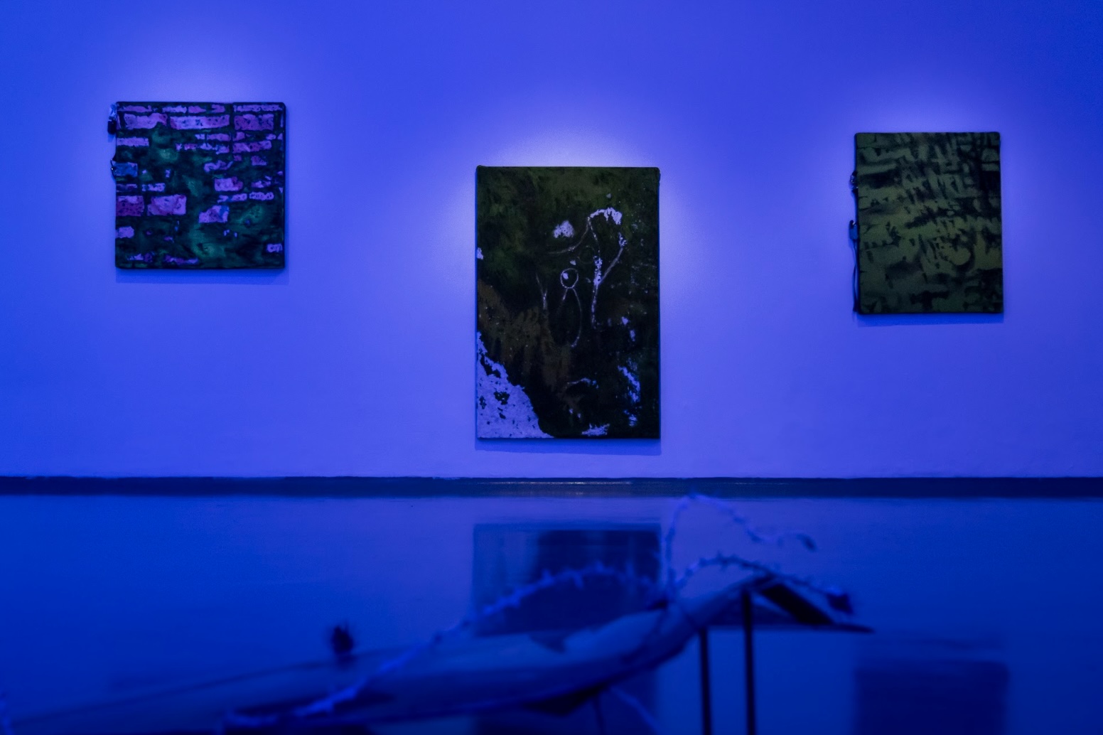 Ariana Díaz, Fábula para el día de mañana I, II, III, Mixed media, 2024–2025. Photo: Arturo del Rello