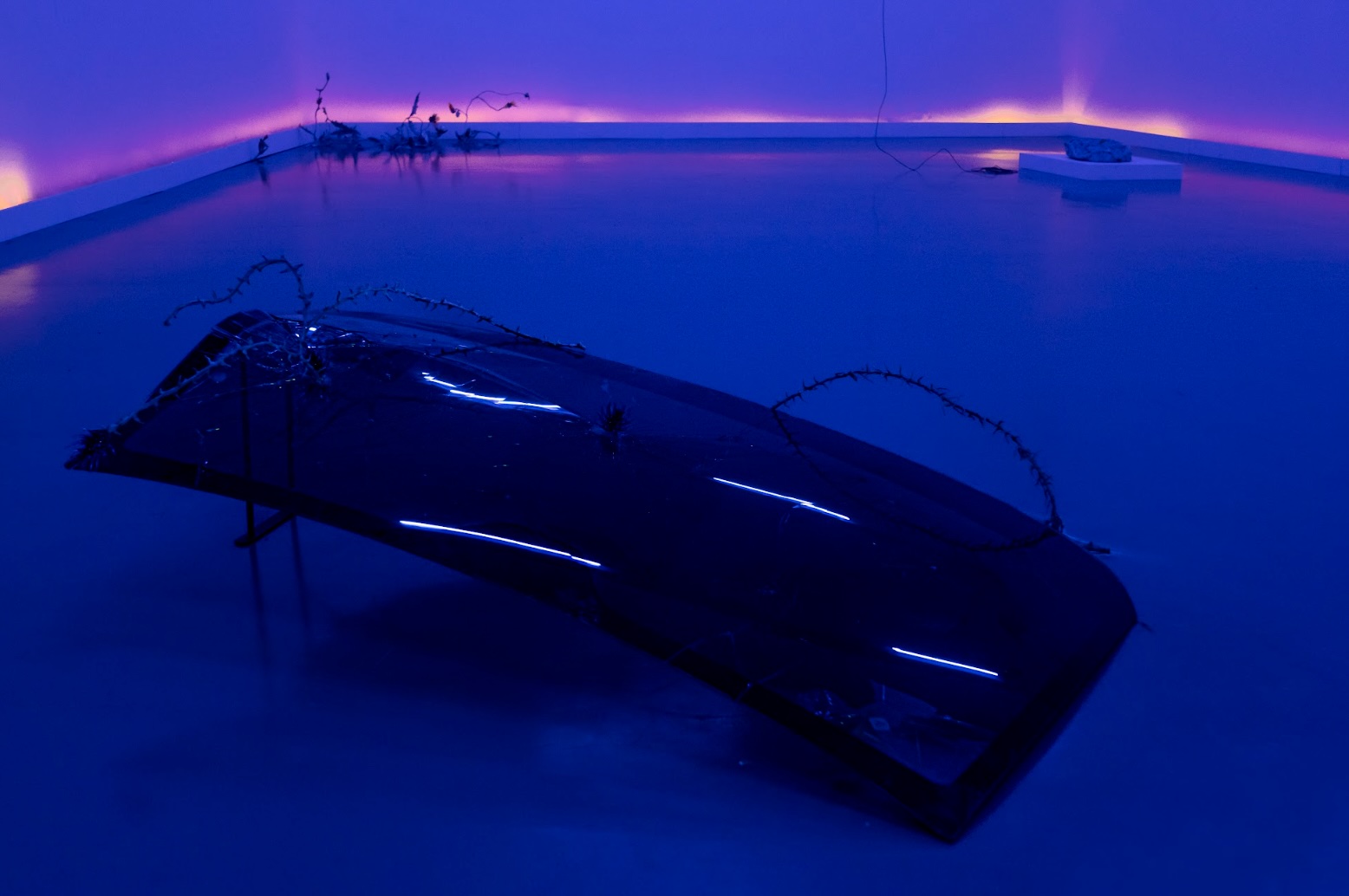 Ariana Díaz, Florecer, Bulletproof glass, ethylene-vinyl acetate, acrylic, and blown glass, 2025. Photo: Arturo del Rello