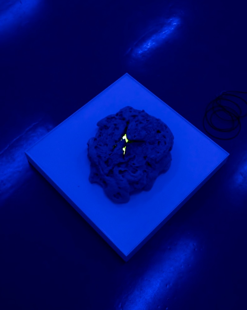 Ariana Díaz, Sucumbir ante la dureza de las piedras II
Polyurethane, acrylic, LED, 2024. Photo: Arturo del Rello
