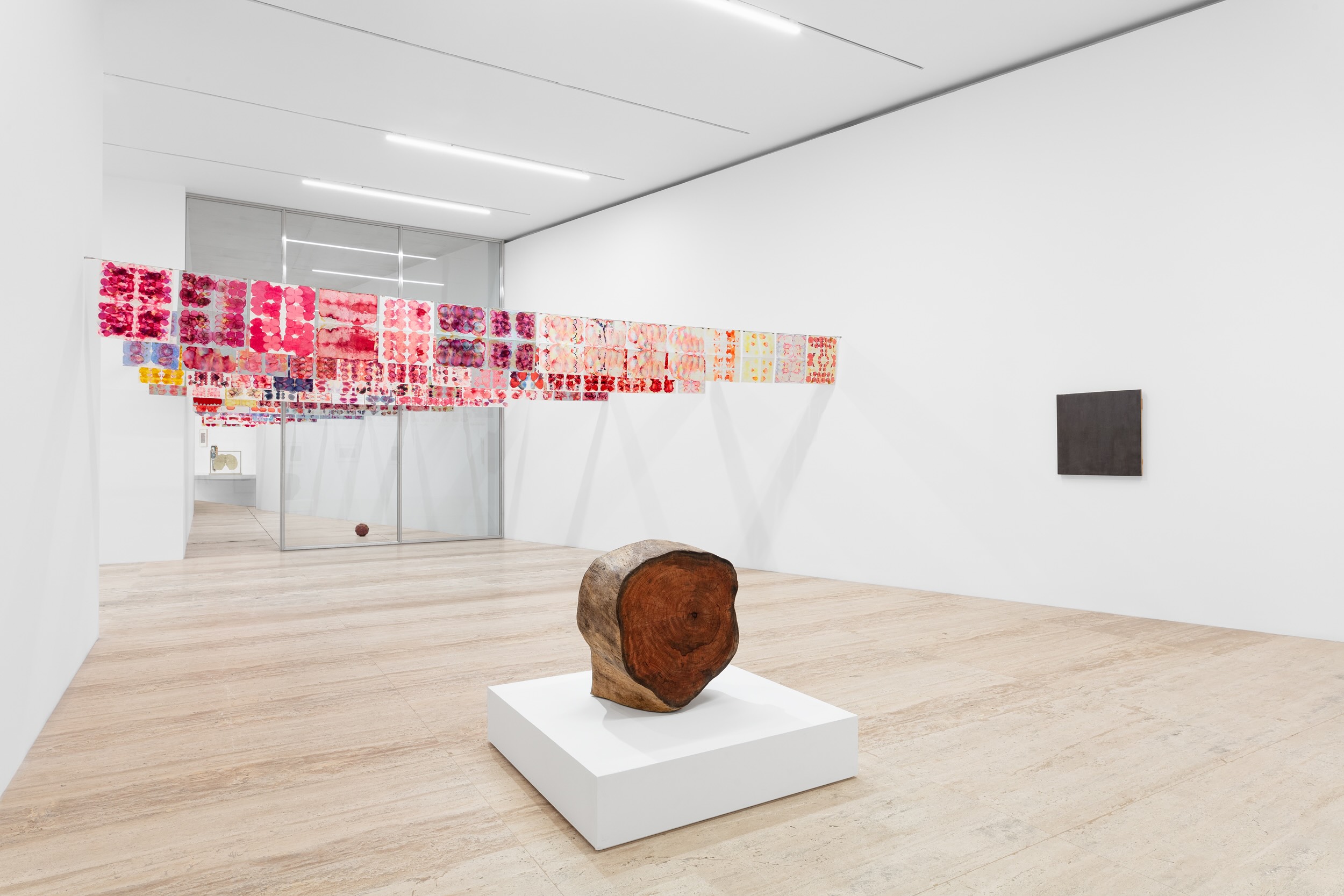 Installation view of the exhibition “Gabriel Orozco: Politécnico Nacional”. Museo Jumex, 2025. Photo: Gerardo Landa y Eduardo López (GLR Estudio)