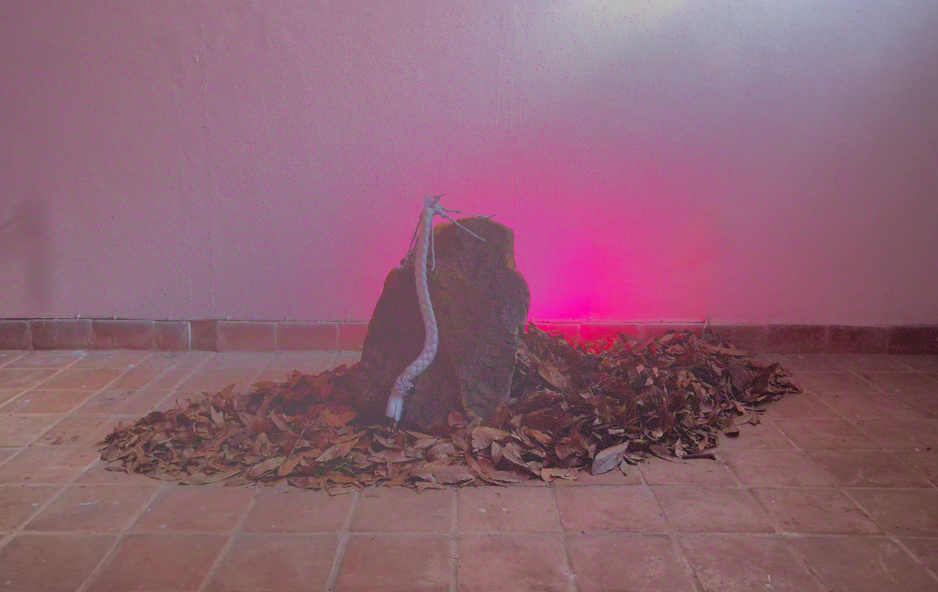 Composing a Forest: Gestures and Fantasies for an Uncertain Future at Espacio Cabeza