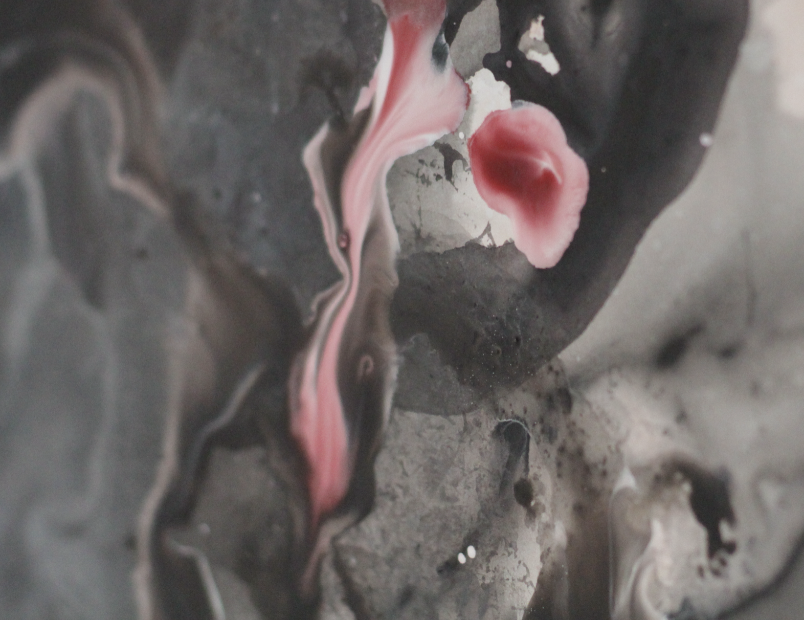Exposiciones de lxs artistas en residencia