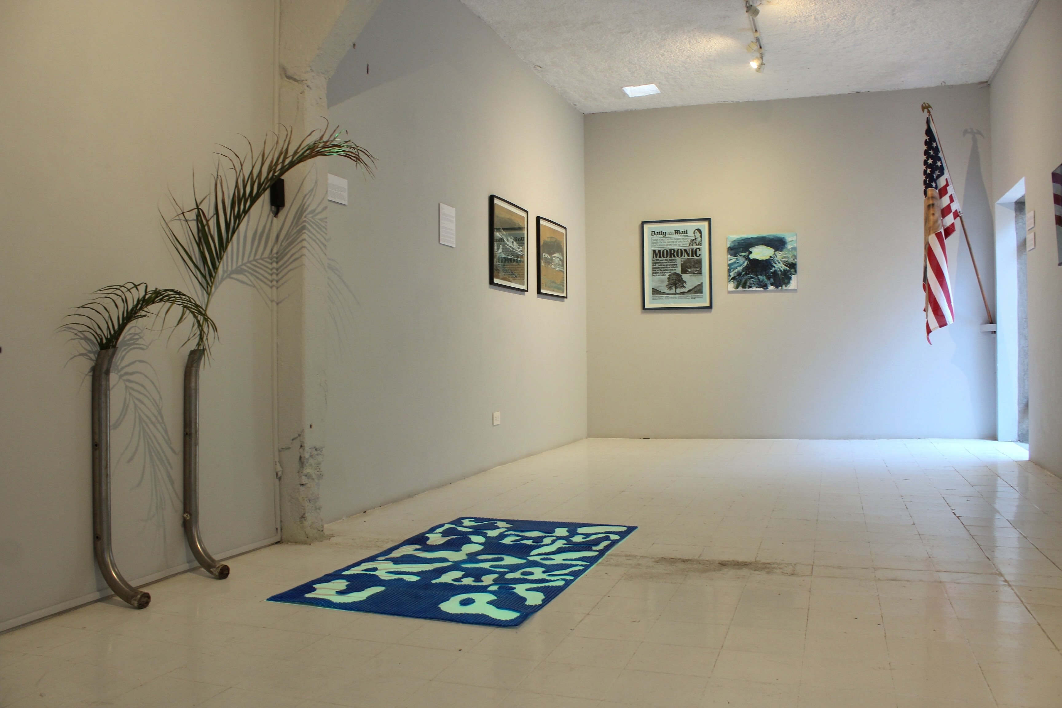 trapo, galería