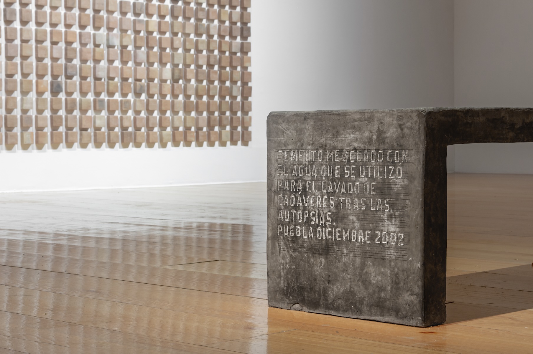 Vista de la exposición “¿Cómo salimos?” de Teresa Margolles en MARCO. Cortesía del museo. Fotografía: Arthur Mora.