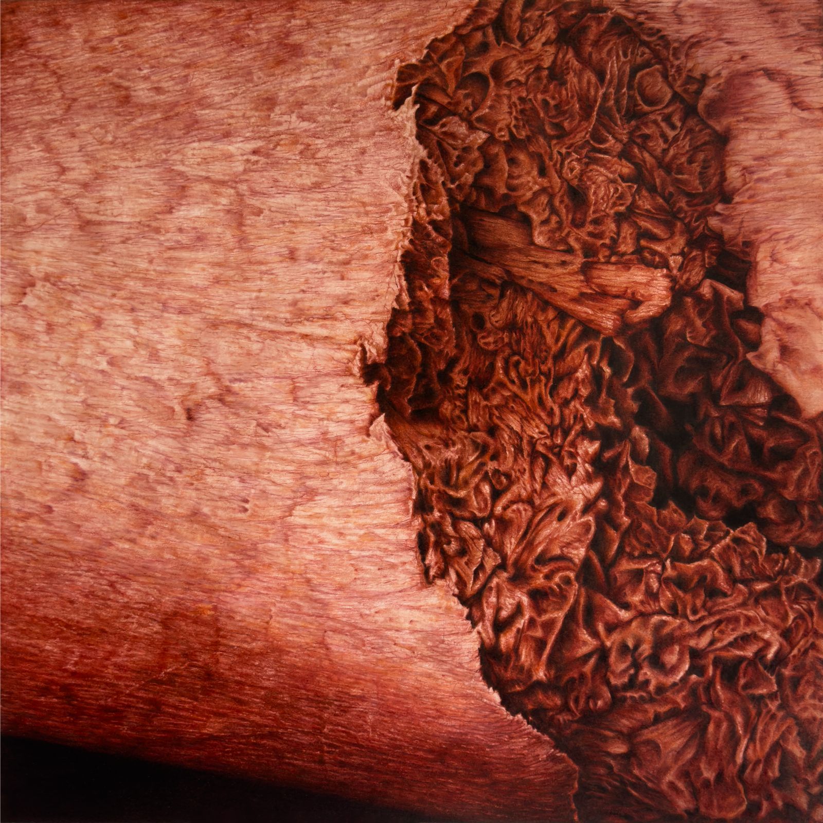 Daniel Guana
