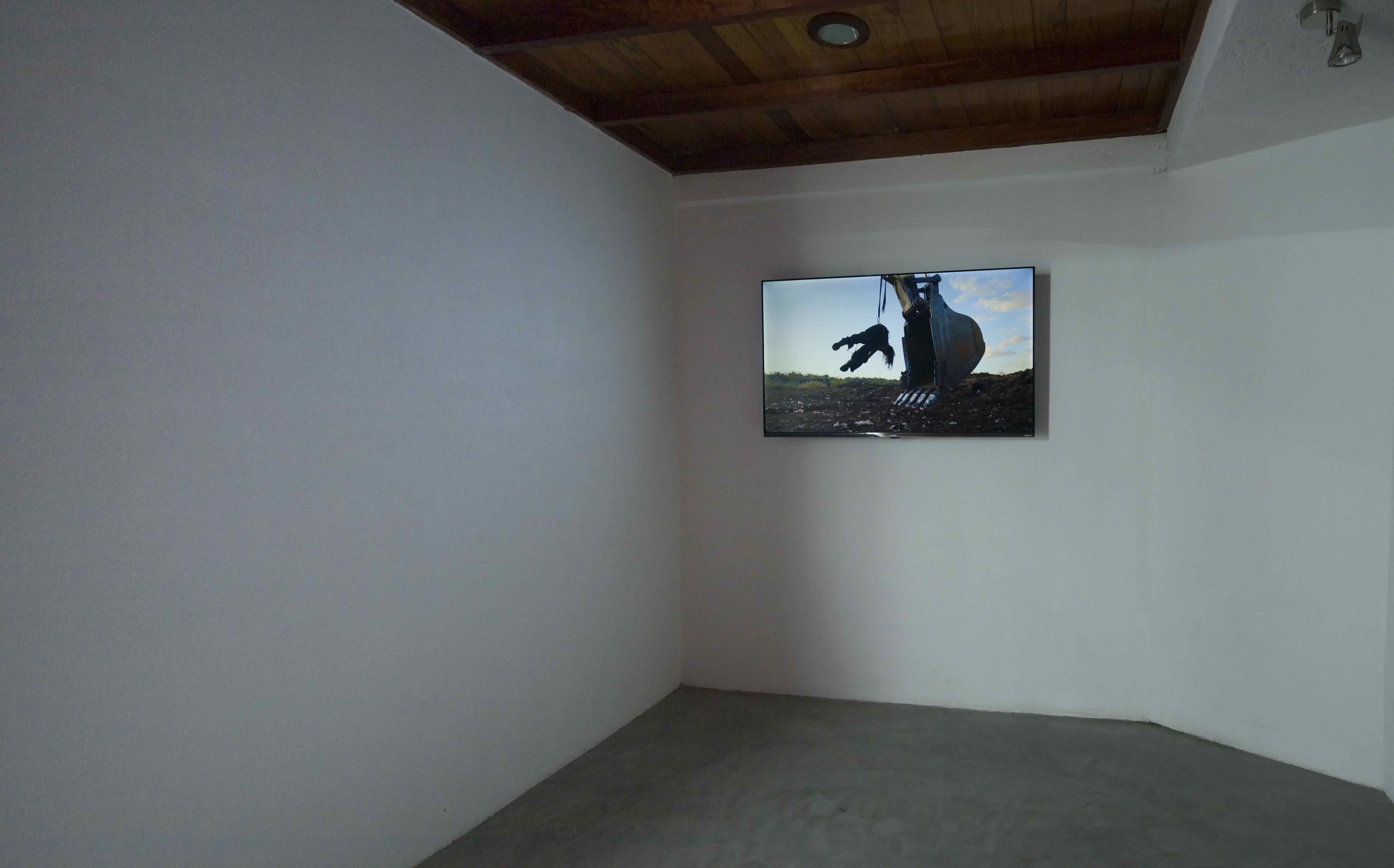 Bárbara Foulkes | In-gallery activation