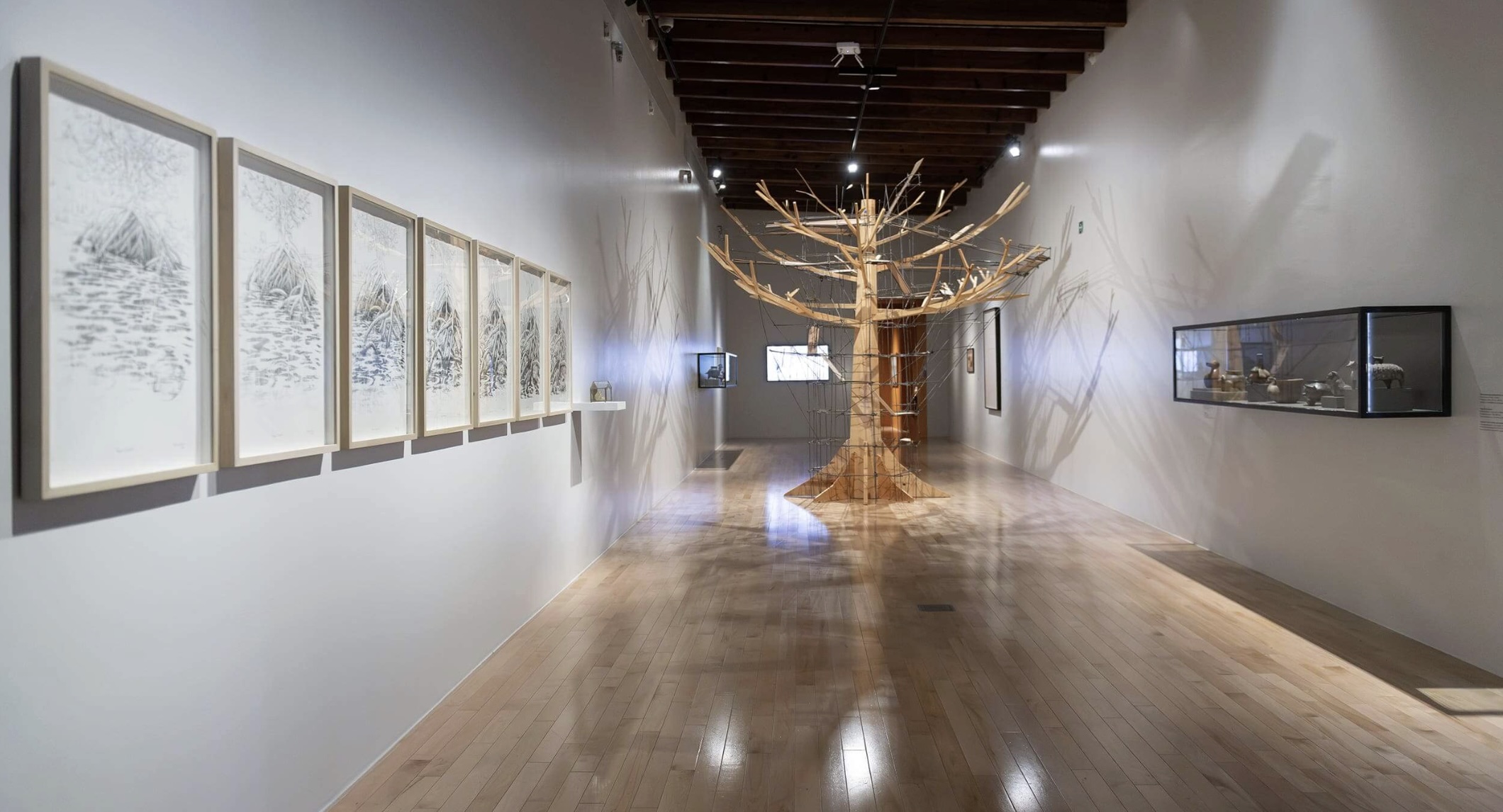 Una vuelta en espiral. 35 años Colección Museo Amparo - Image 3