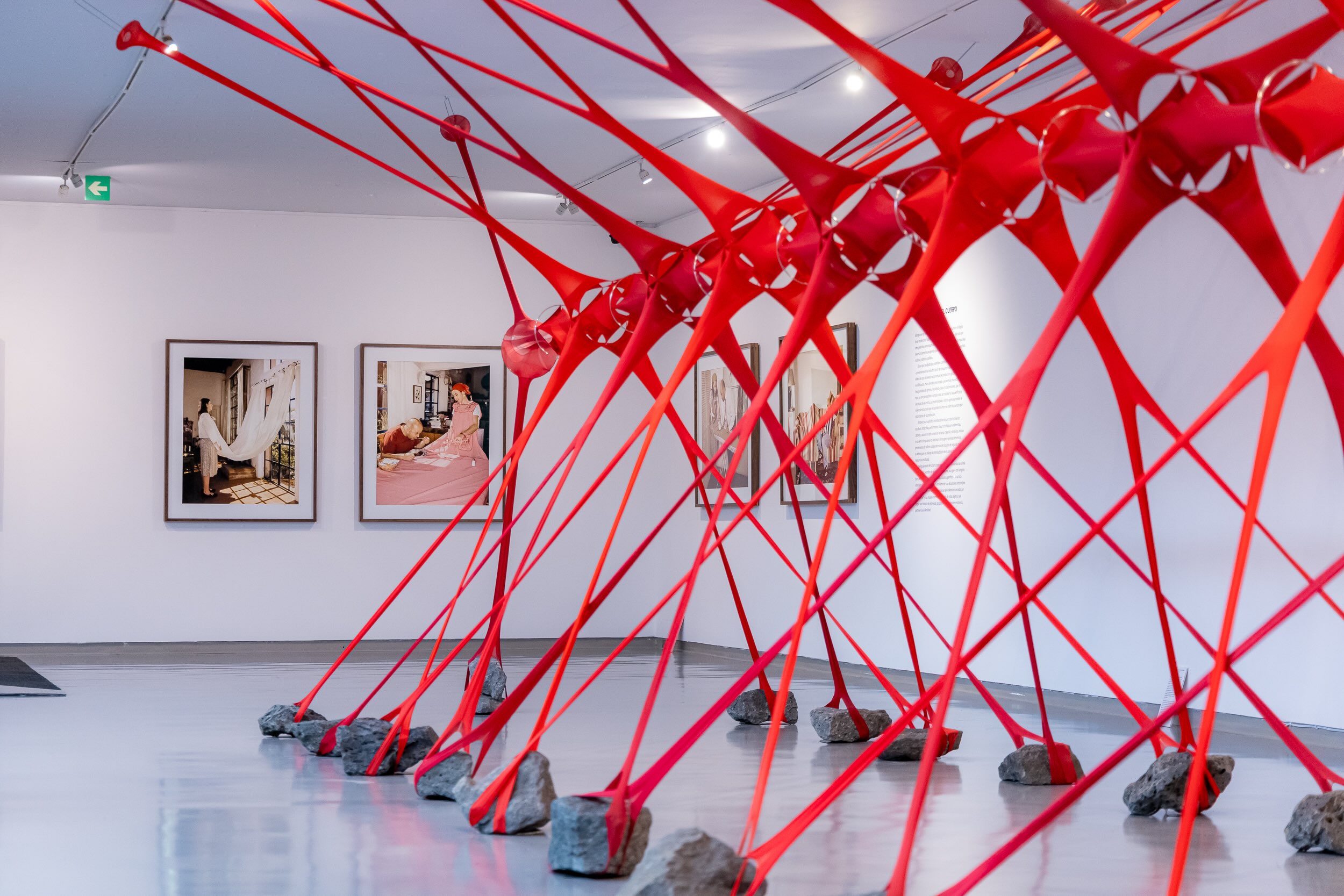 ¿Dónde está el truco? María Ezcurra en el Museo de Arte Carrillo Gil